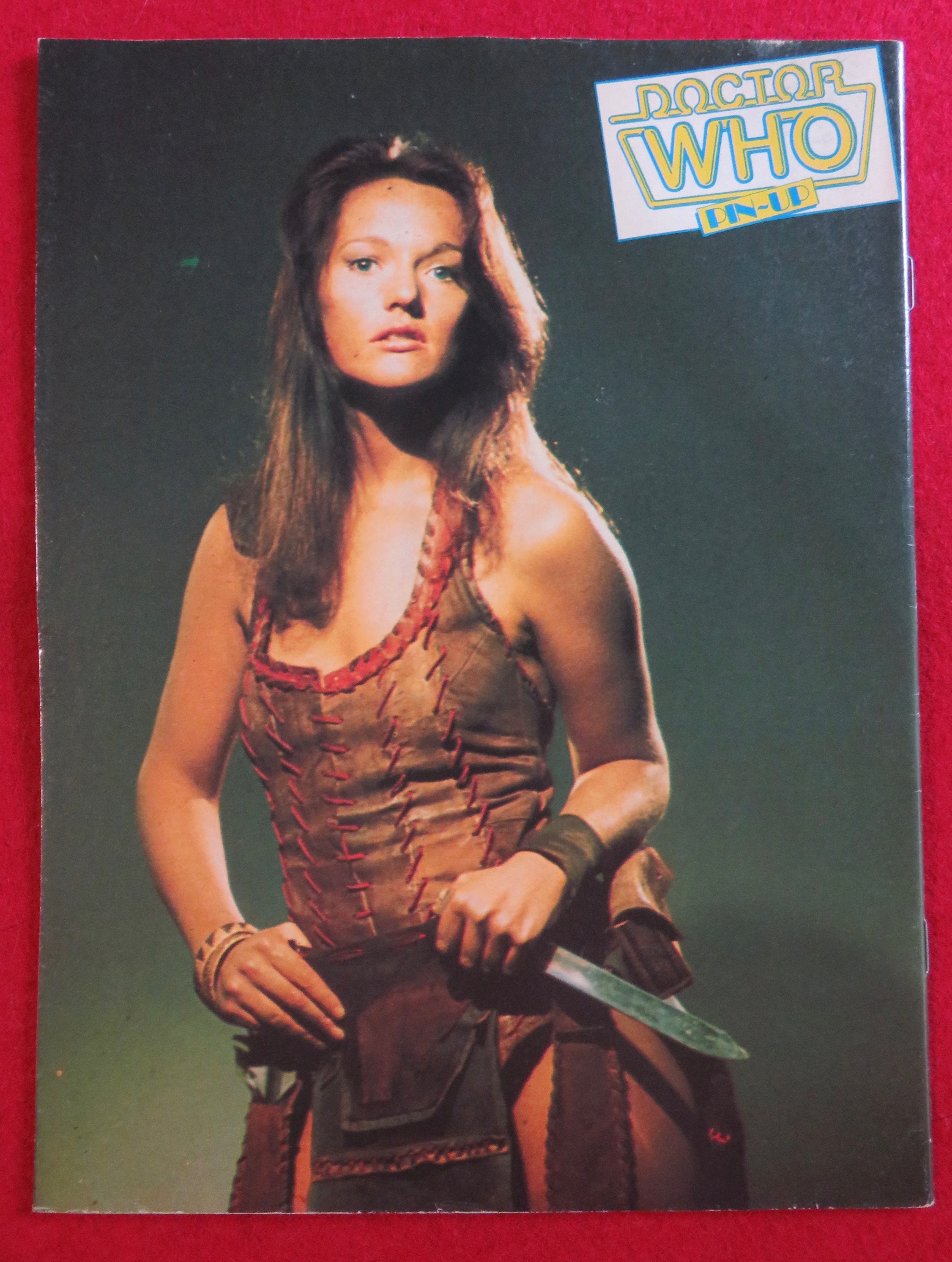 Doctor (Dr) Who Magazine June 1981