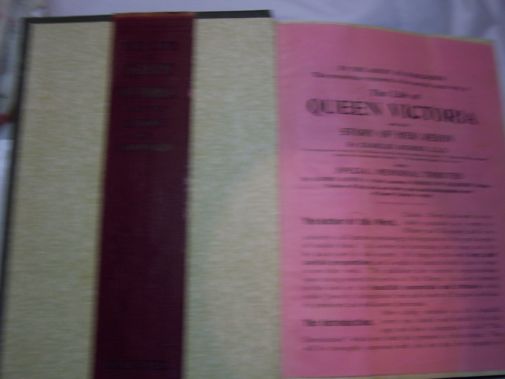 Life Queen Victoria Salesman's Sample 1901