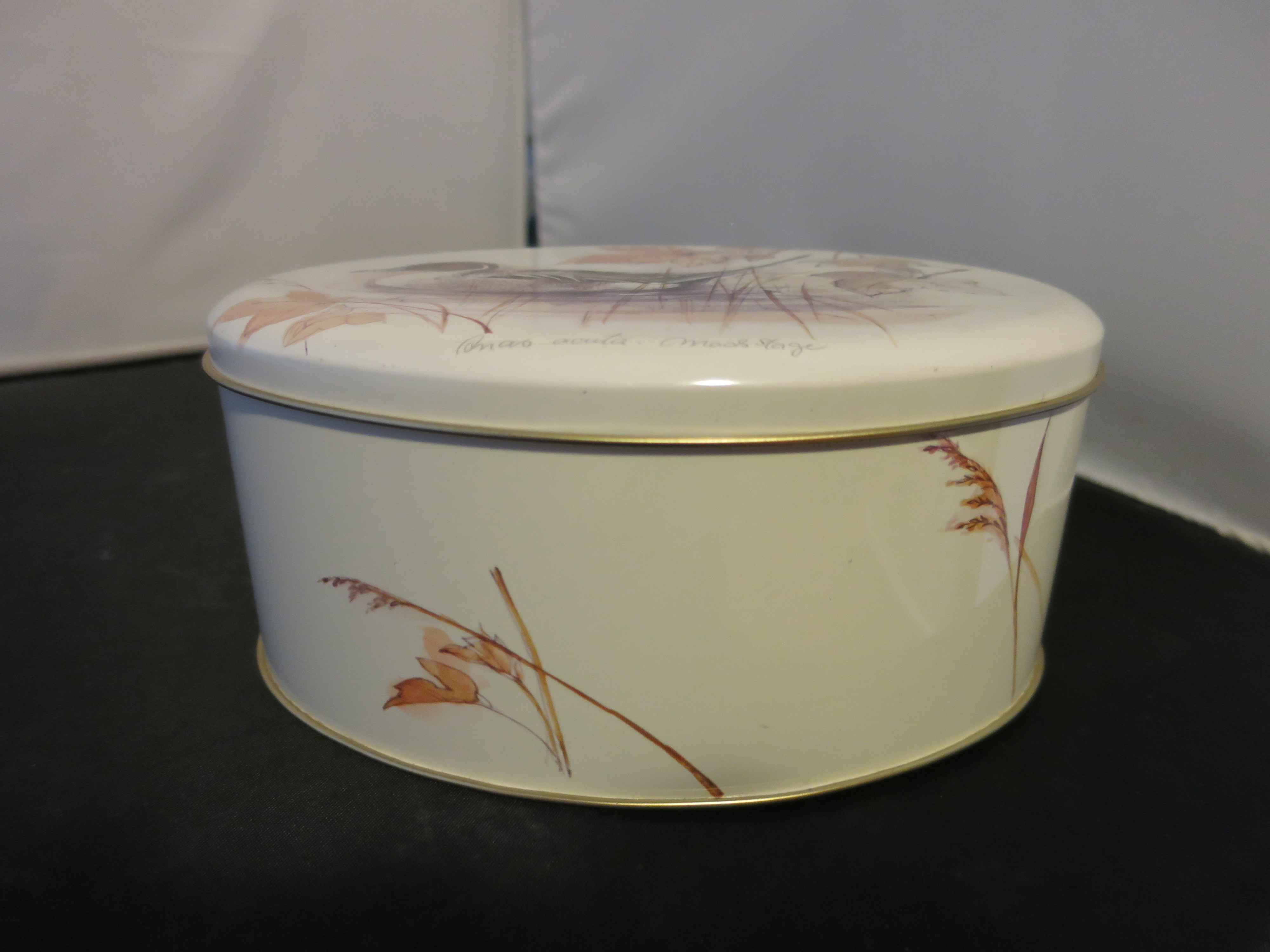 Duck Tin Made in England signed Anab acuta Moos Stage