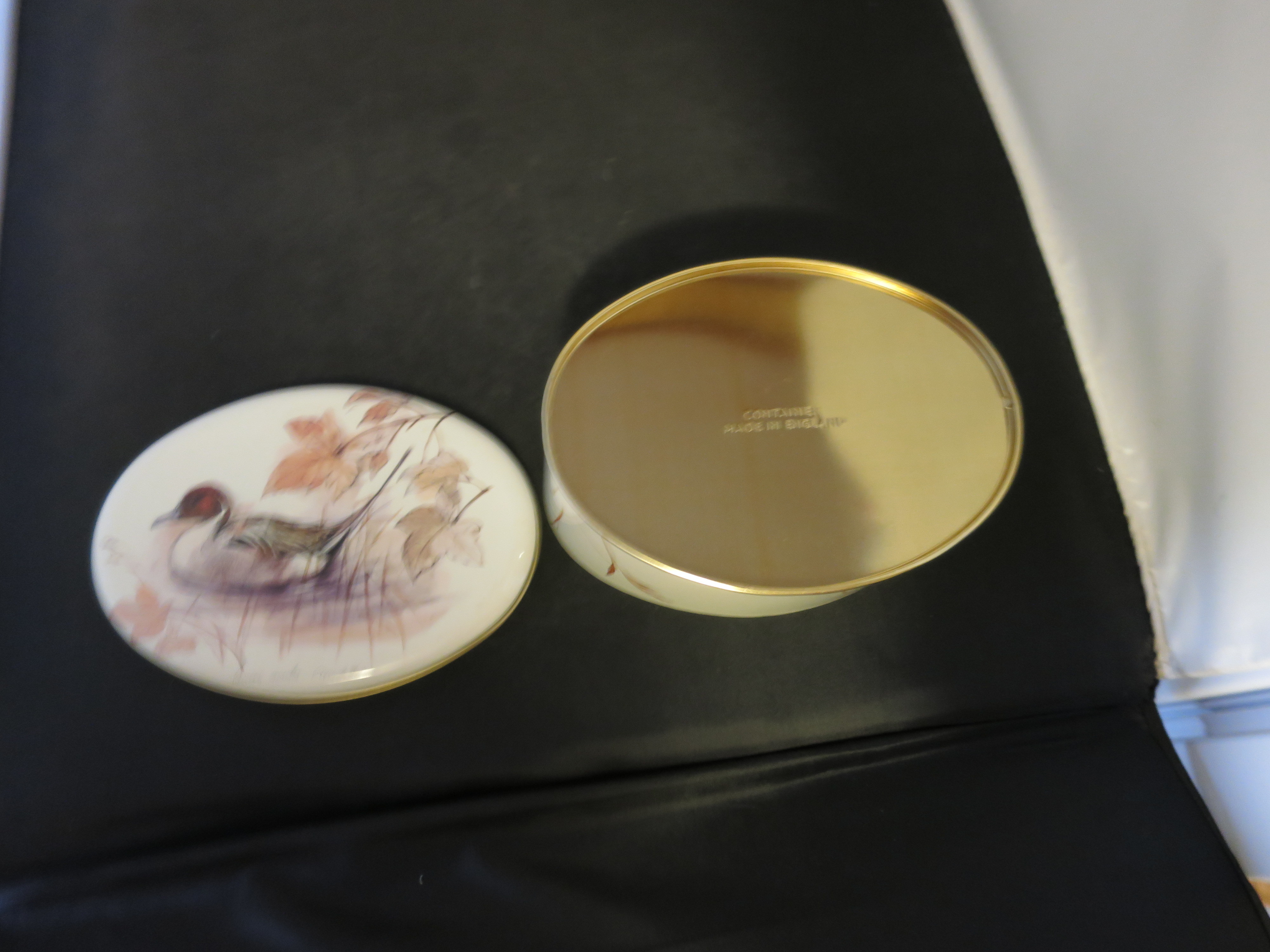 Duck Tin Made in England signed Anab acuta Moos Stage