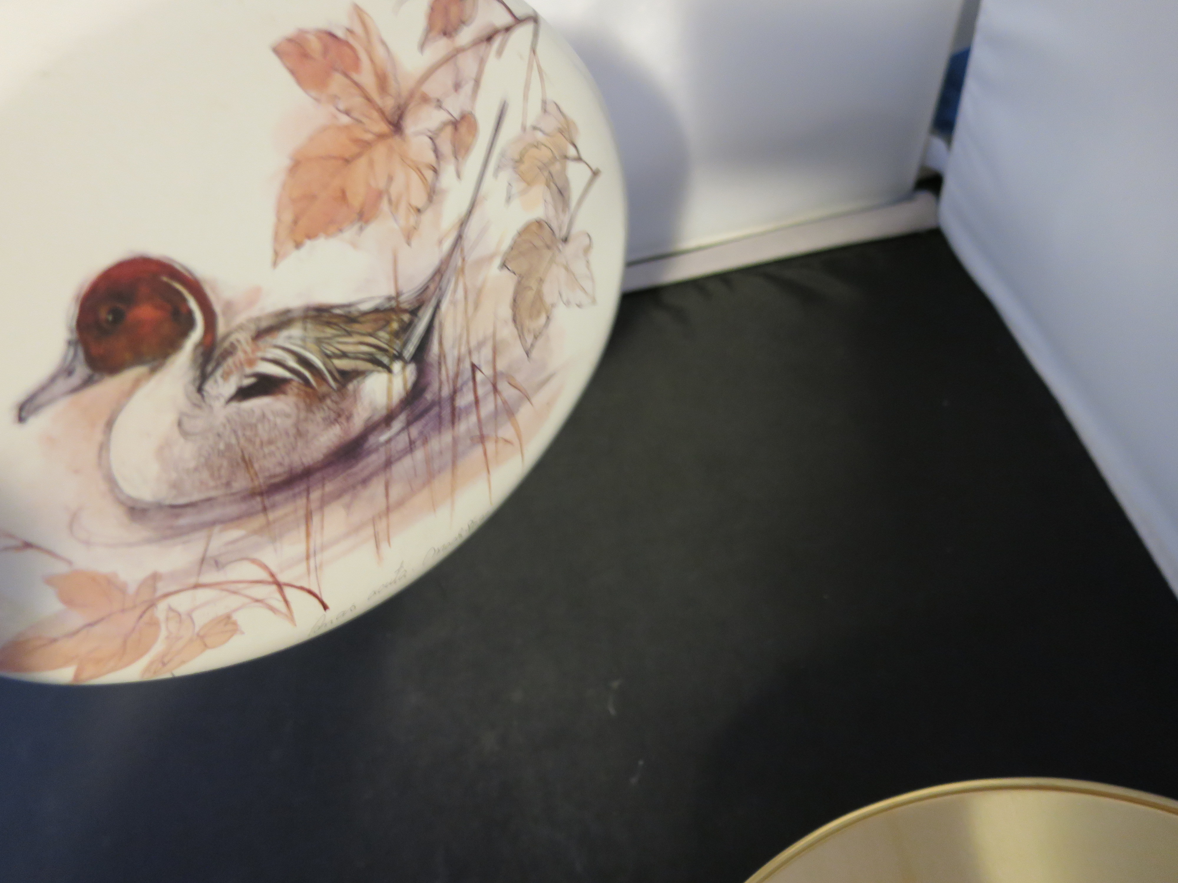 Duck Tin Made in England signed Anab acuta Moos Stage