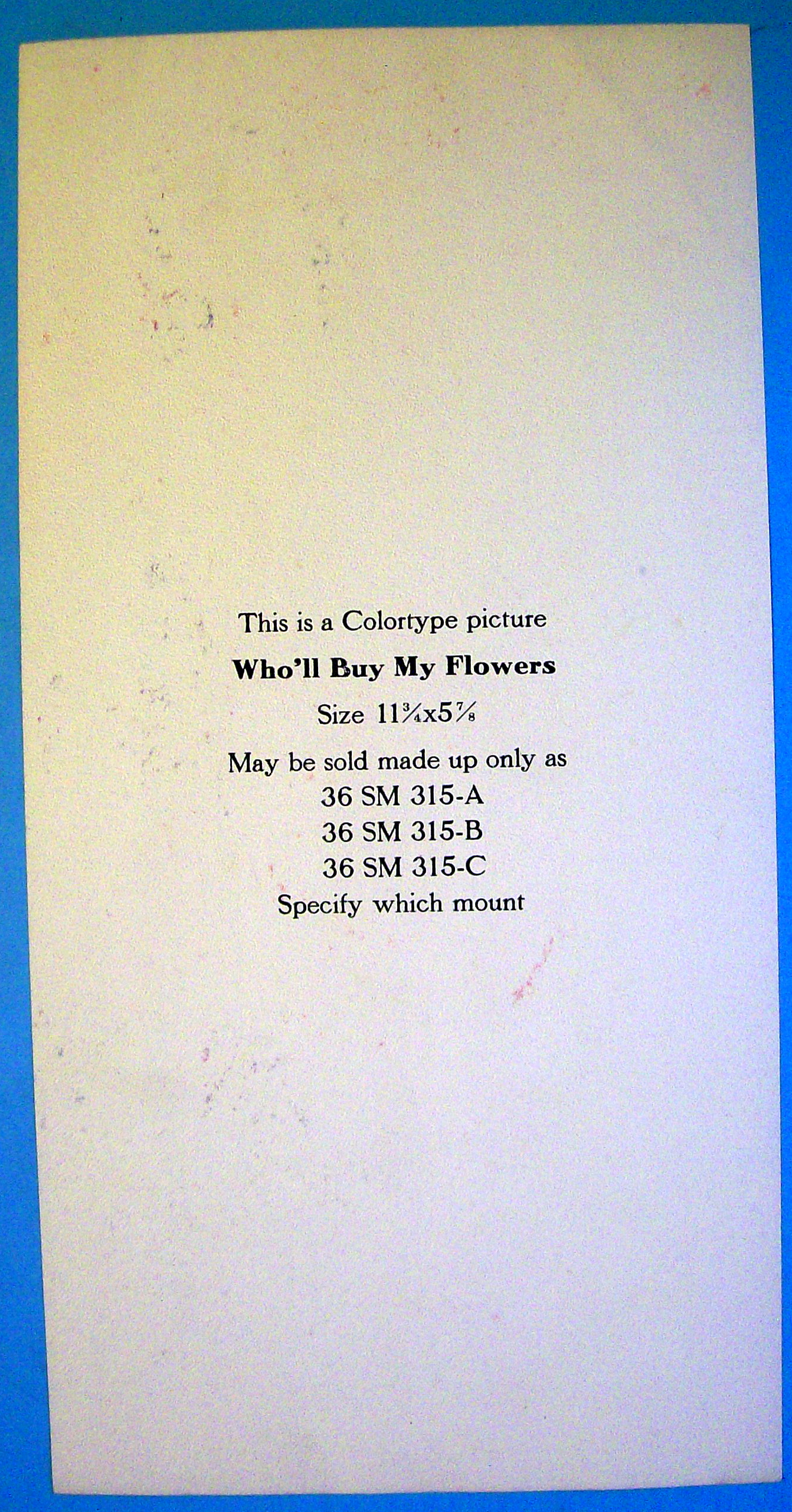 1930's Who'll Buy My Flowers Colortype Picture