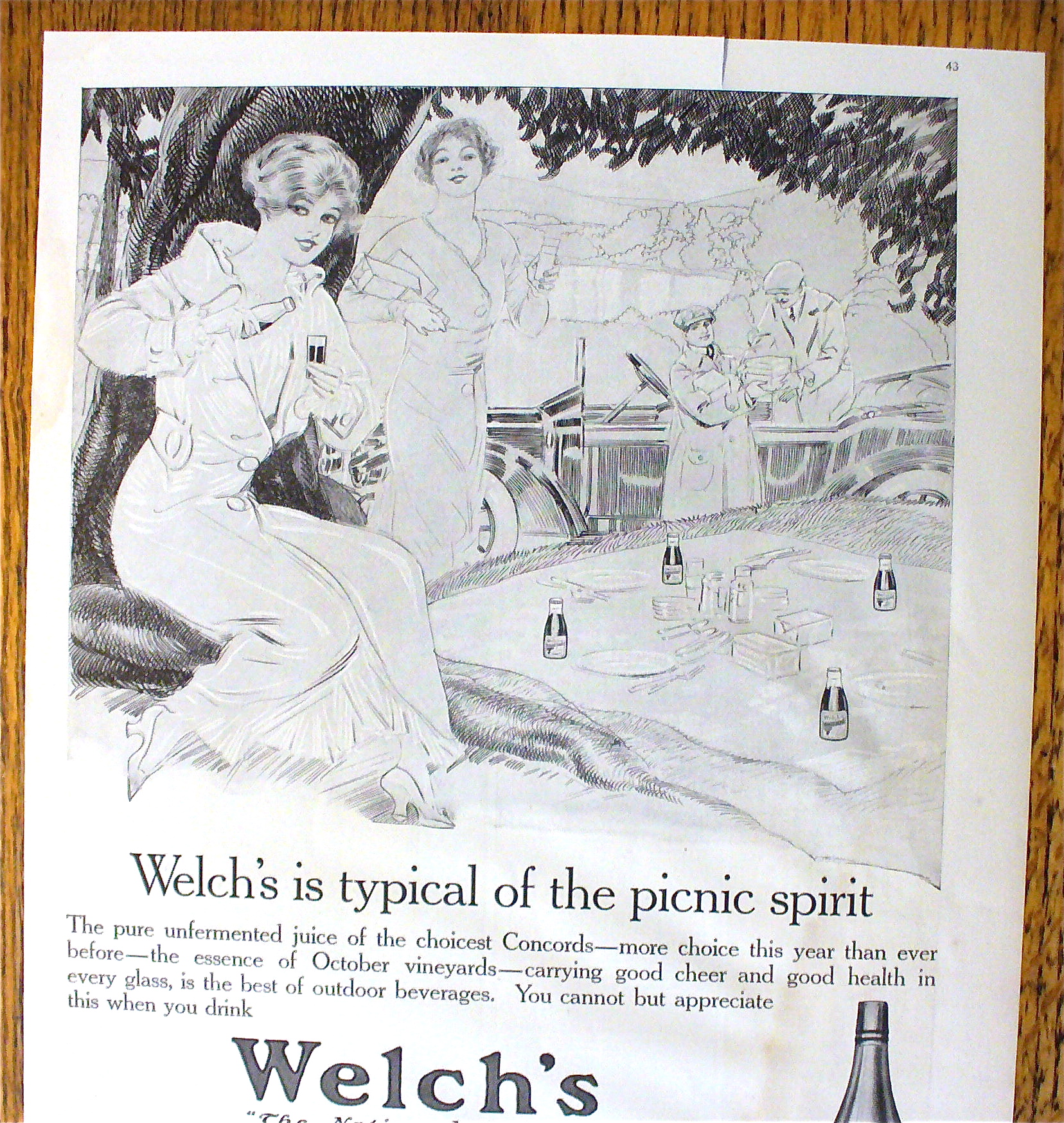 1914 Welch's Grape Juice with Women On A Picnic