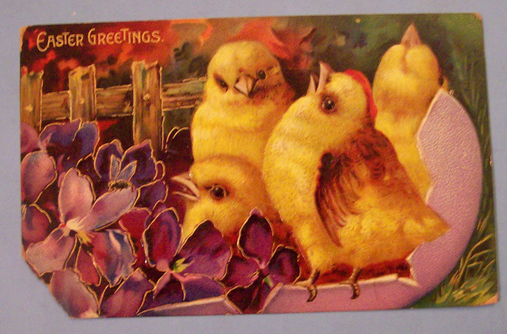 Easter Greetings Postcard w/4 Chicks in Hatched Egg