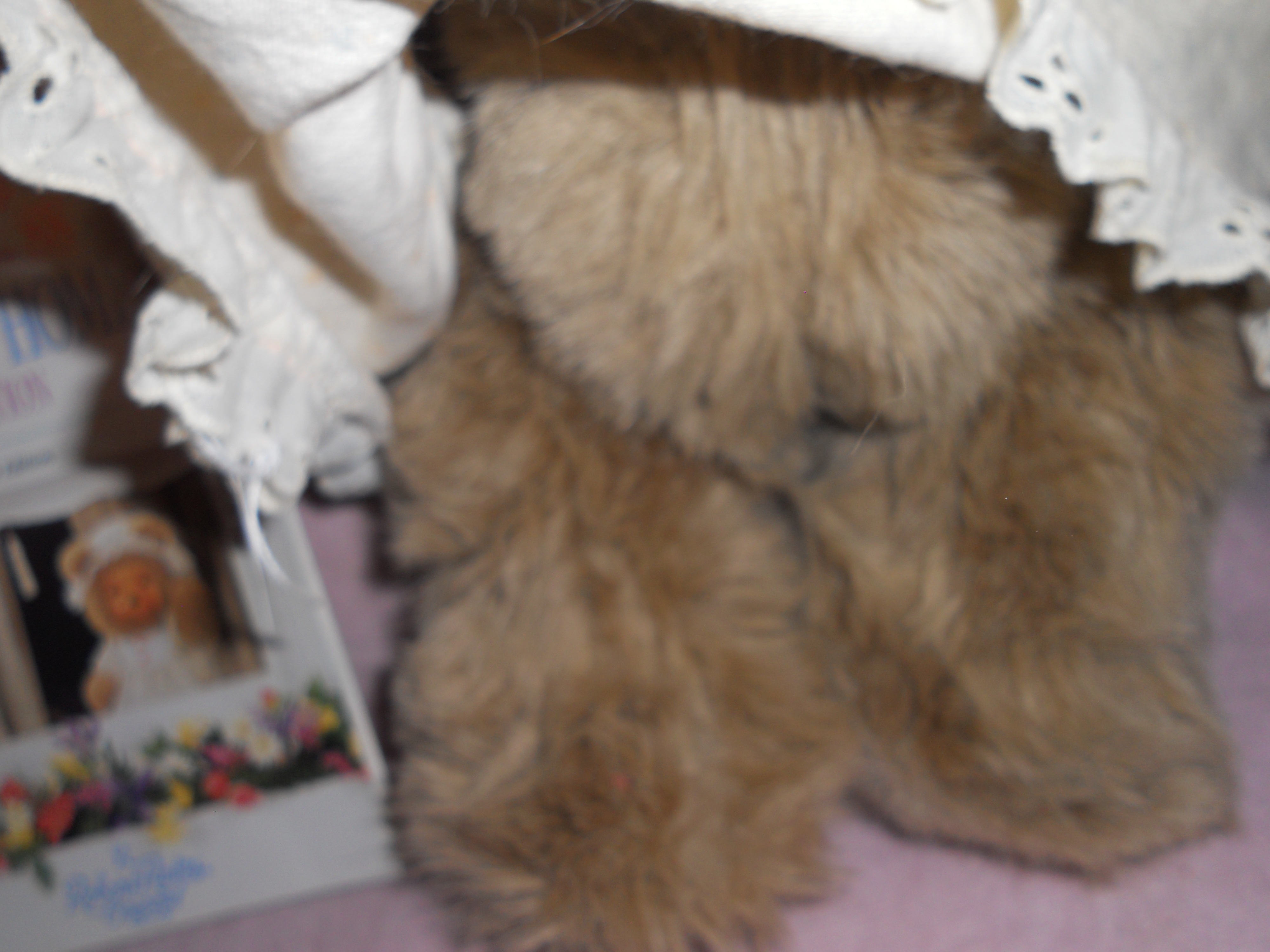 Robert Raikes Bear Jenny W/Booklet