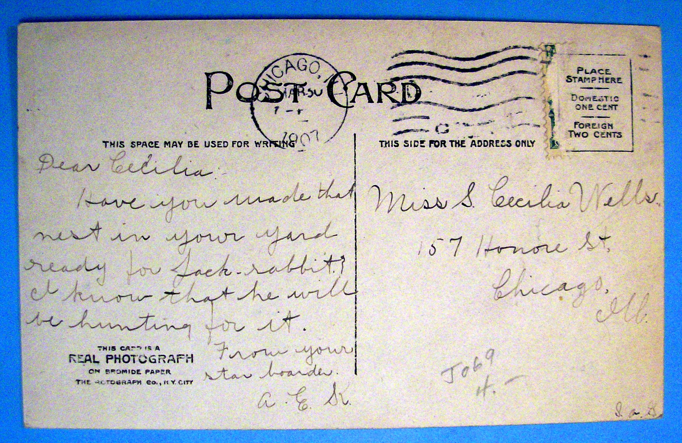 Easter Greetings Postcard with Easter Lily