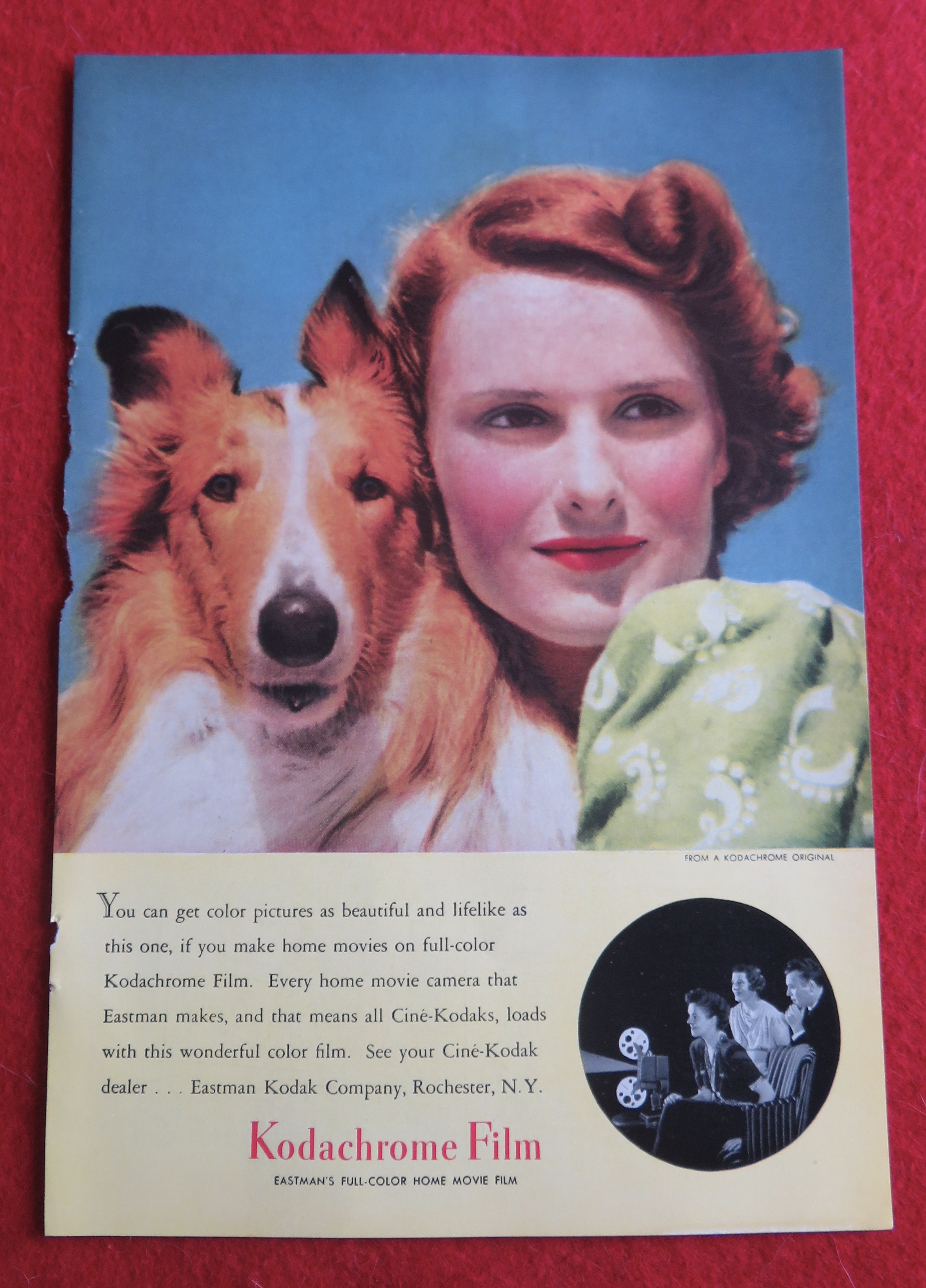 1940 Kodak Kodachrome Film with Woman & Her Dog