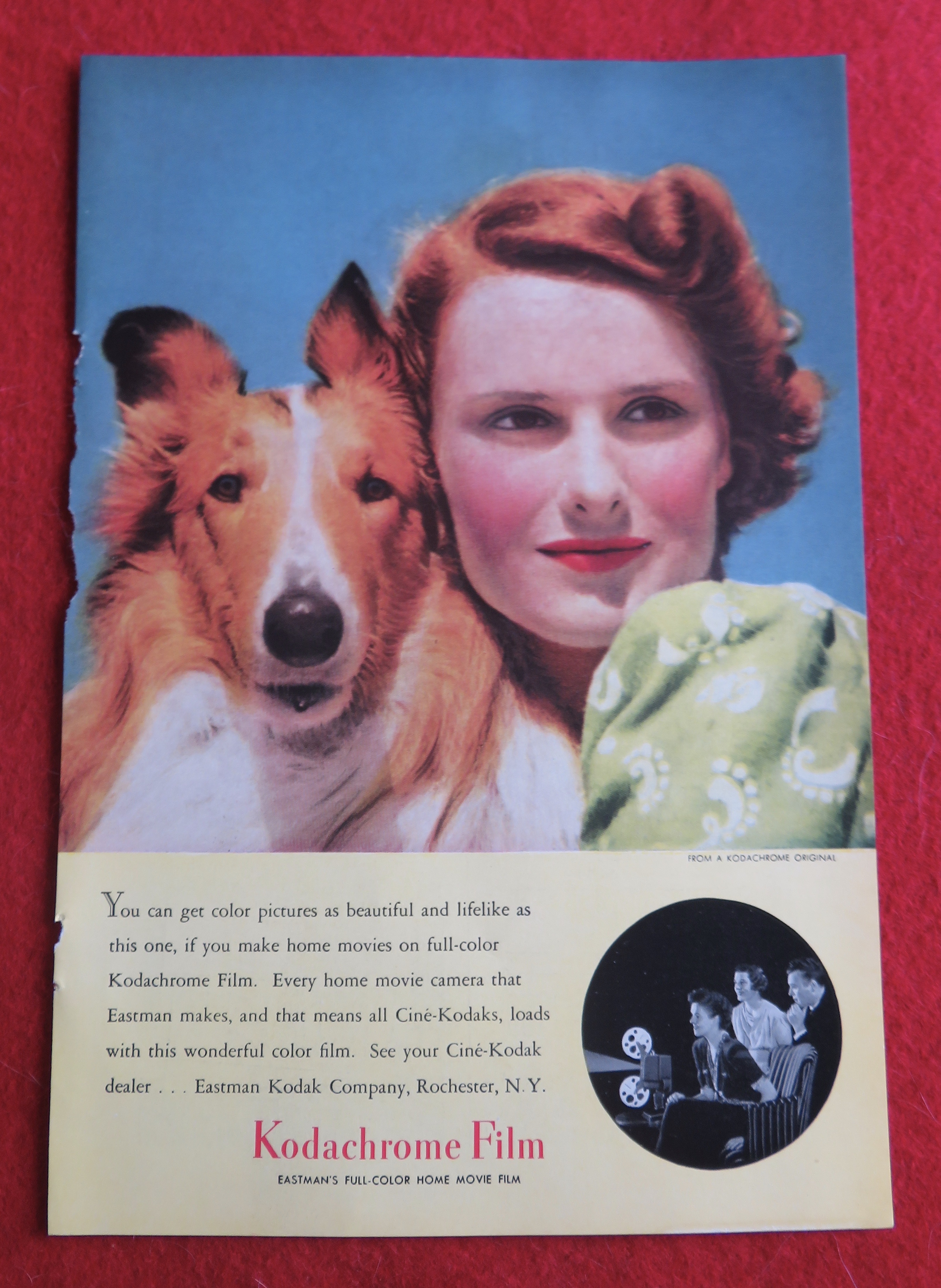 1940 Kodak Kodachrome Film with Woman & Her Dog
