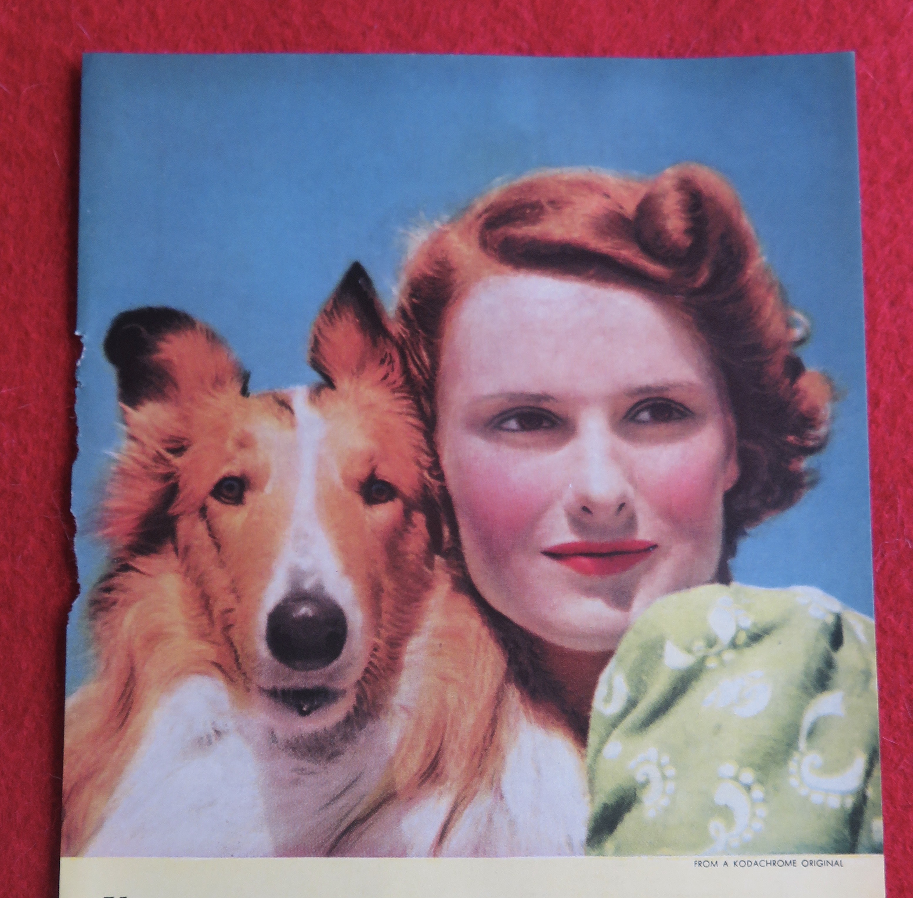 1940 Kodak Kodachrome Film with Woman & Her Dog