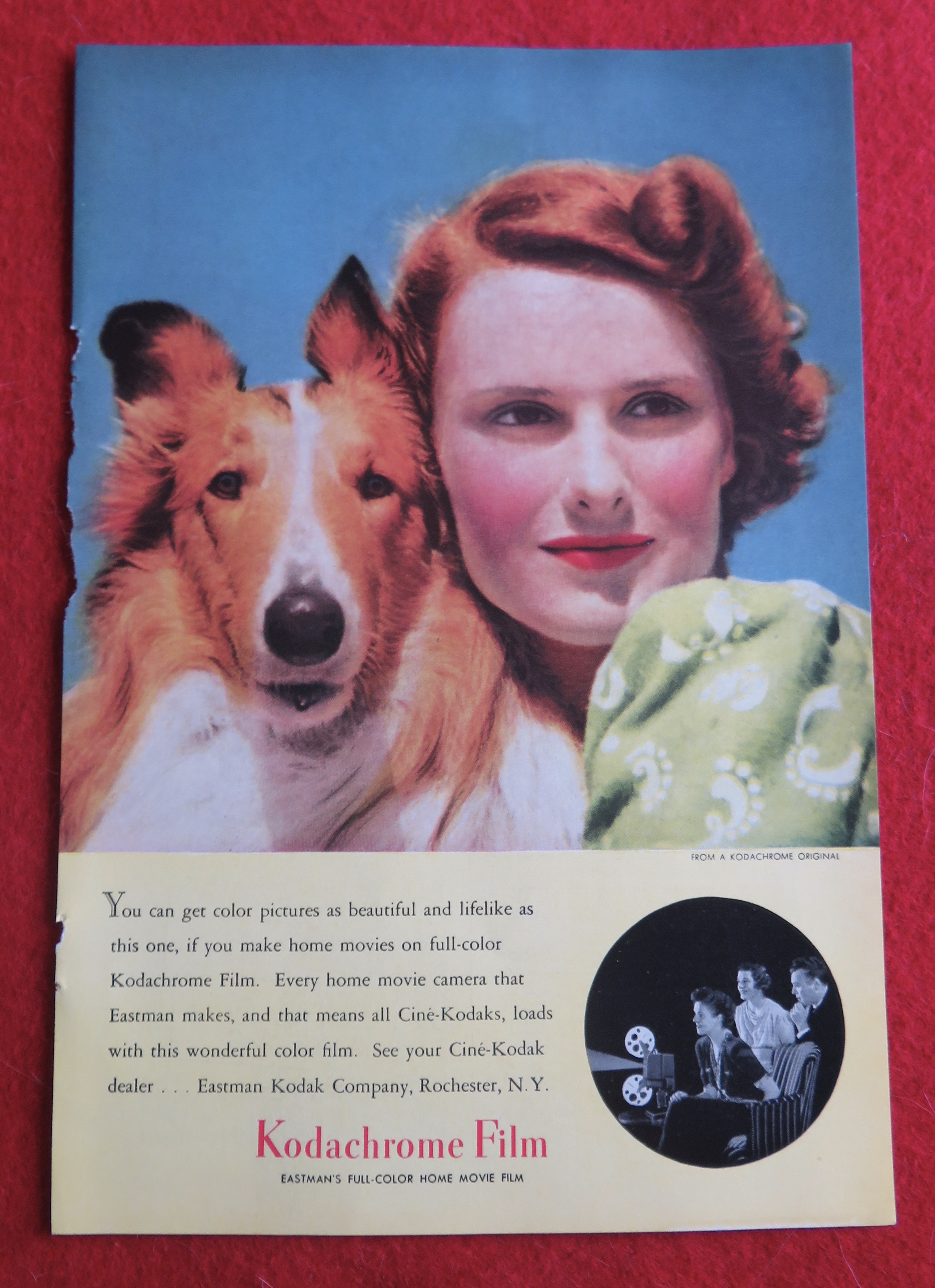 1940 Kodak Kodachrome Film with Woman & Her Dog