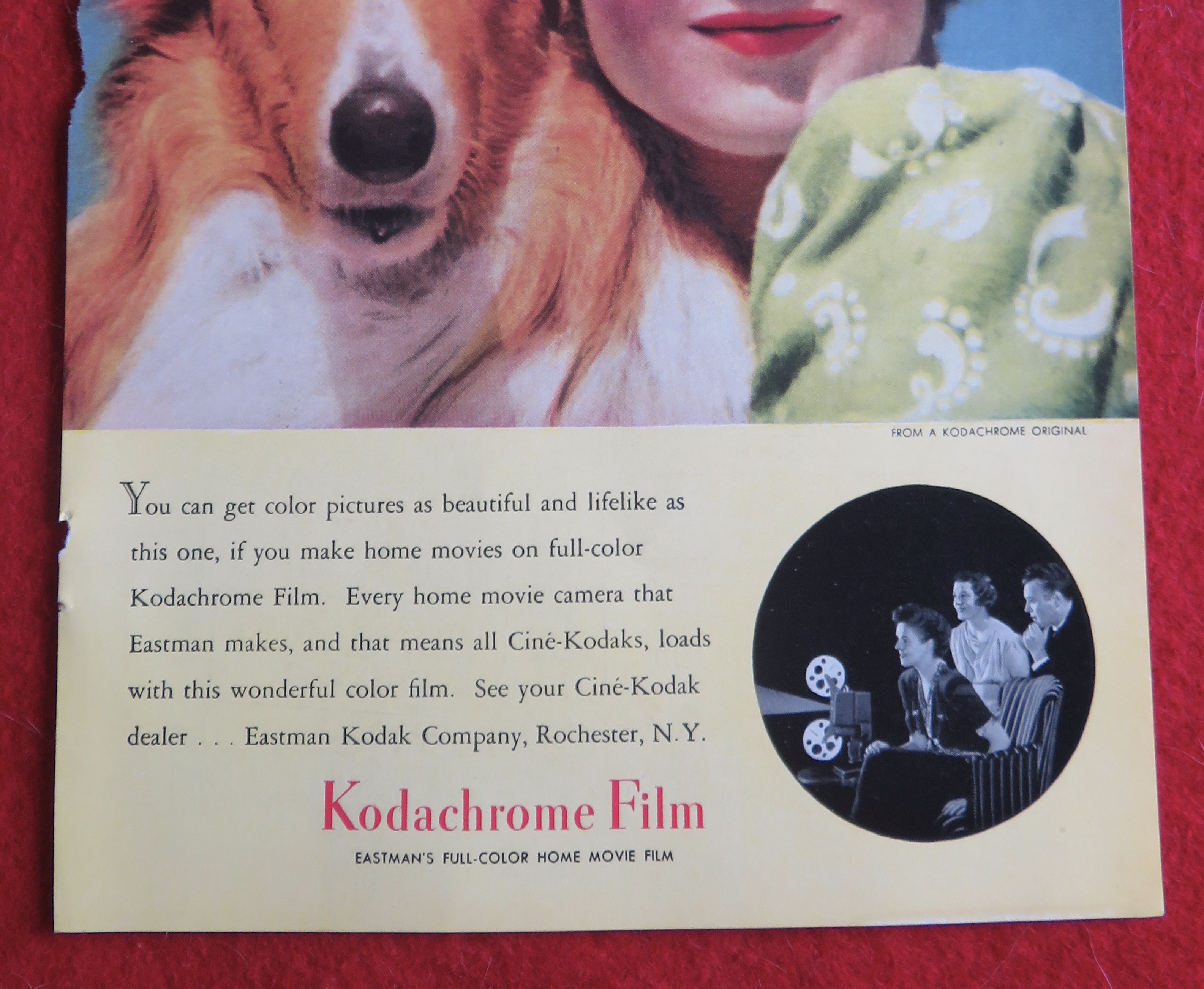 1940 Kodak Kodachrome Film with Woman & Her Dog