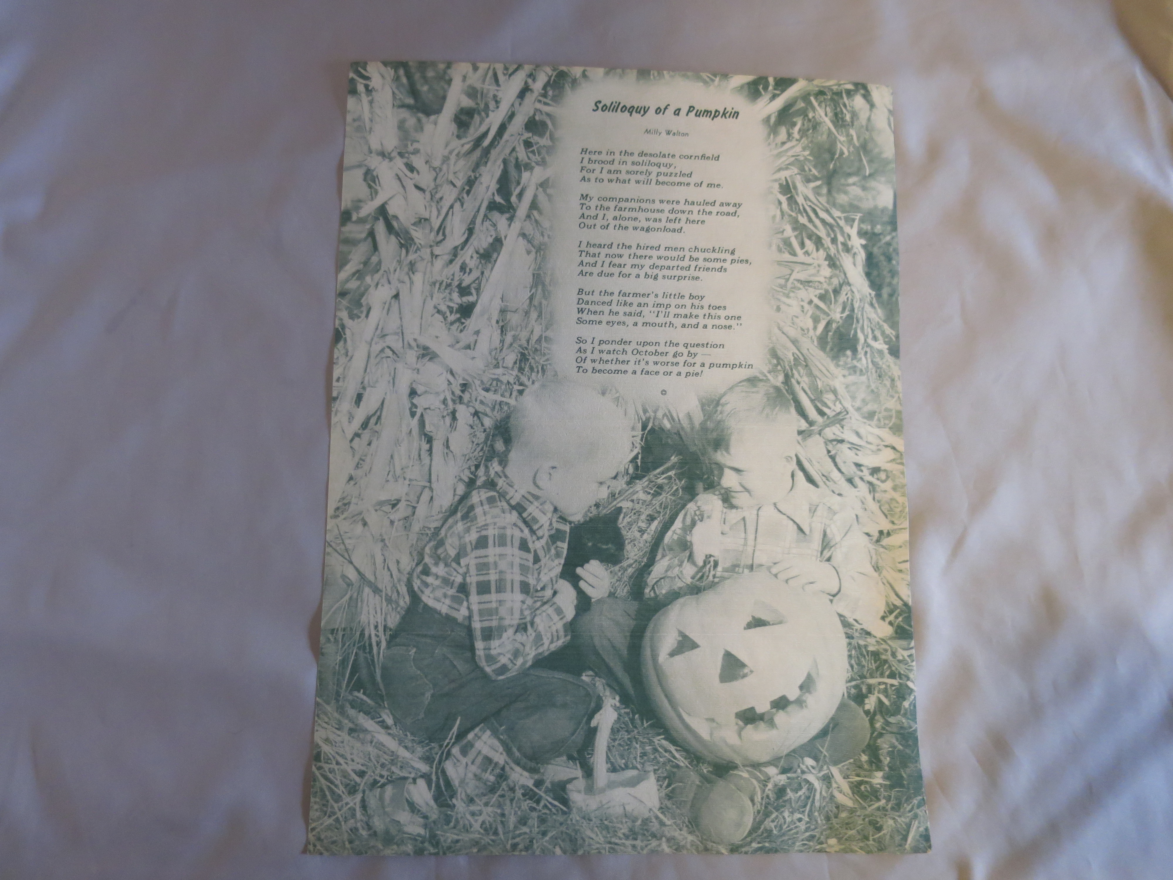Fall Harvest Fruit Nuts in Sugar Bucket Book Print
