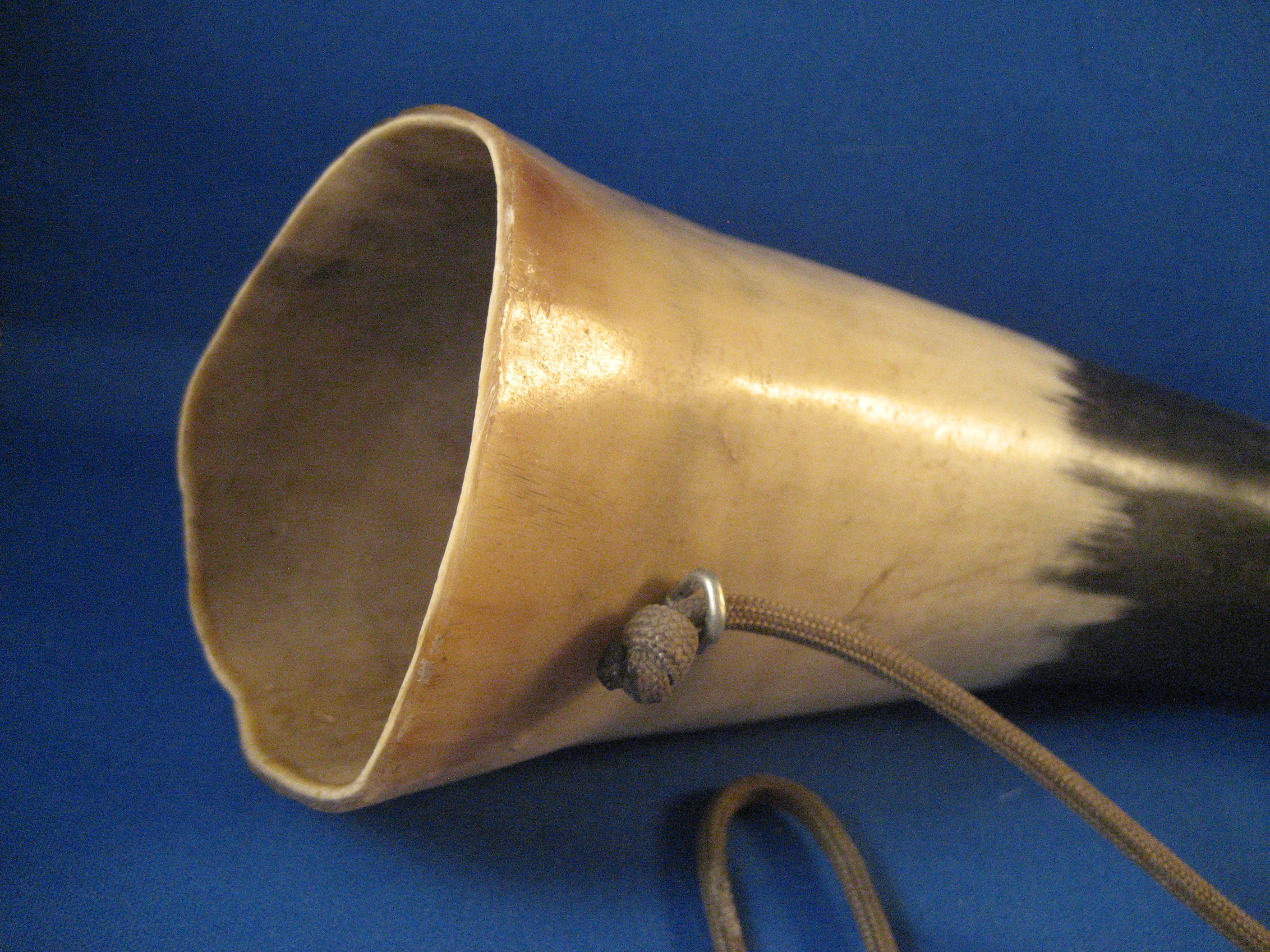 Bull Horn Musical Instrument