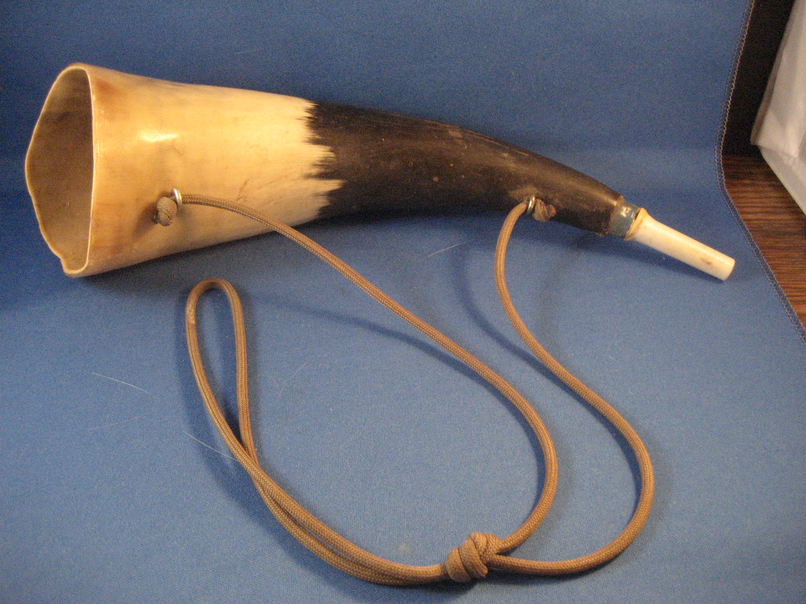 Bull Horn Musical Instrument
