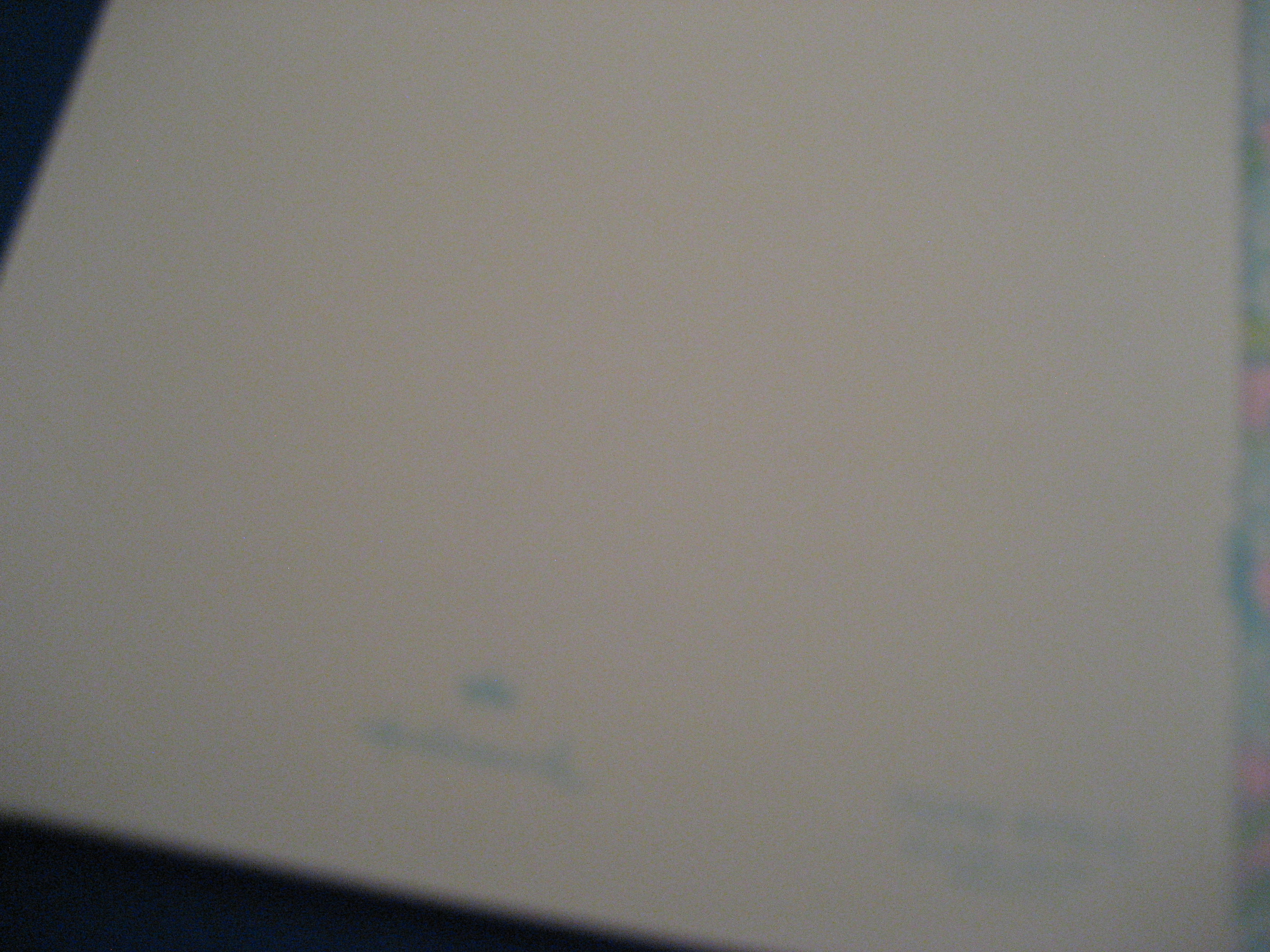 Bridal Shower Group