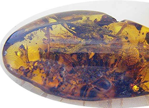 Baltic Amber Verdigree and Bugs Pendant
