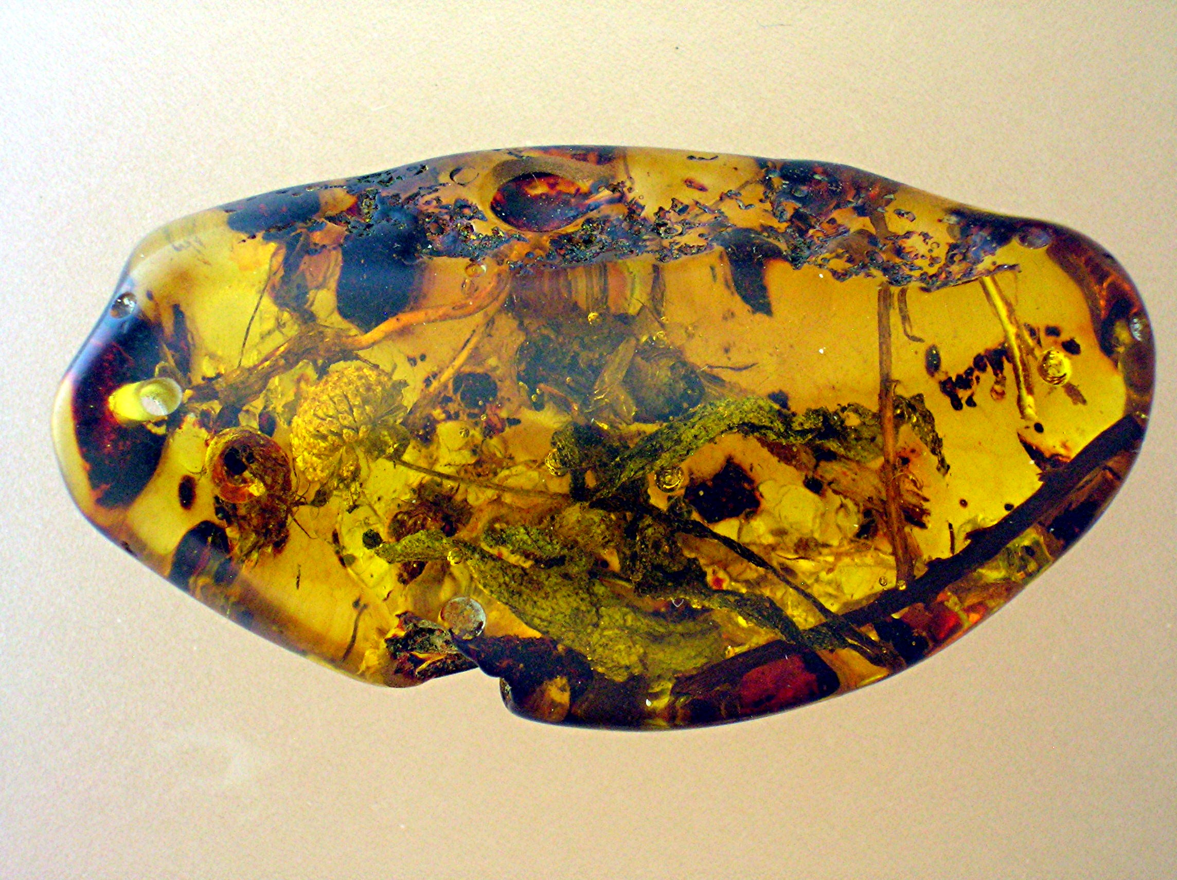Baltic Amber Verdigree and Bugs Pendant