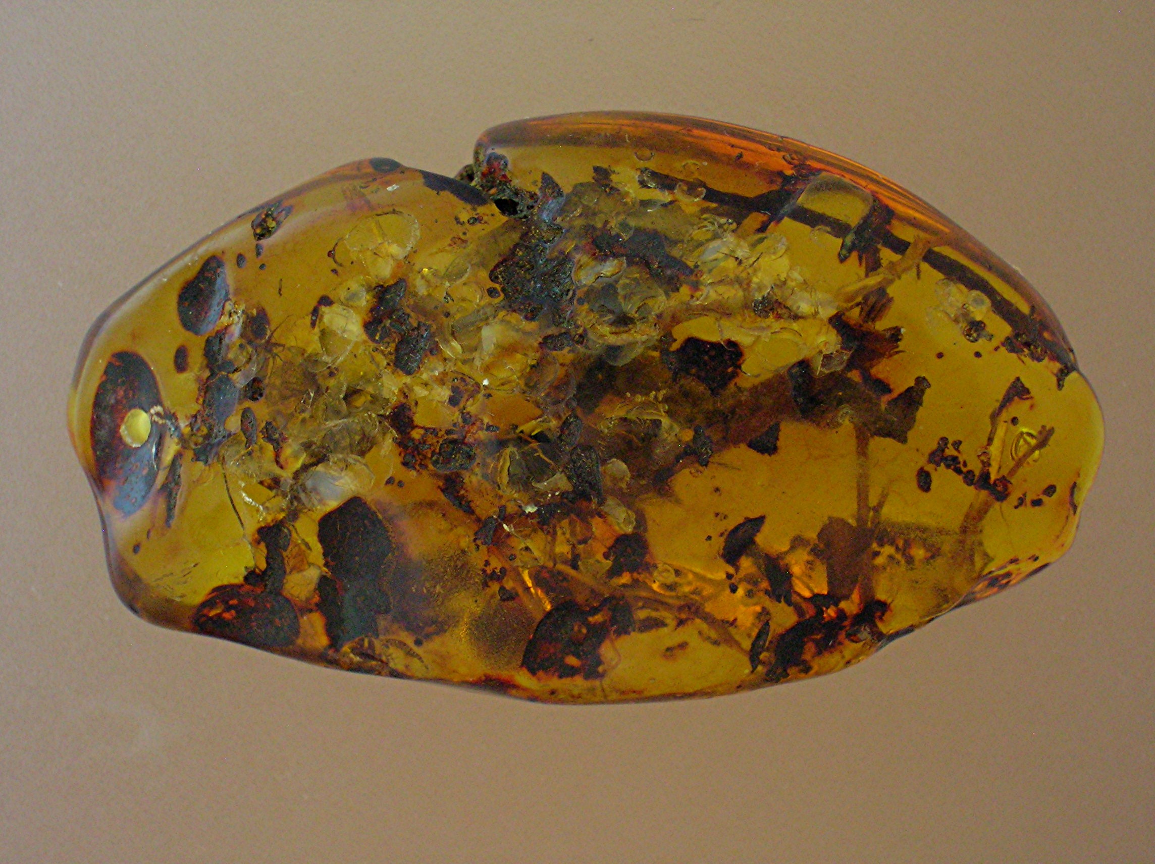 Baltic Amber Verdigree and Bugs Pendant