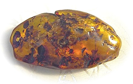 Baltic Amber Verdigree and Bugs Pendant