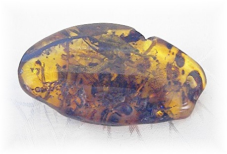 Baltic Amber Verdigree and Bugs Pendant