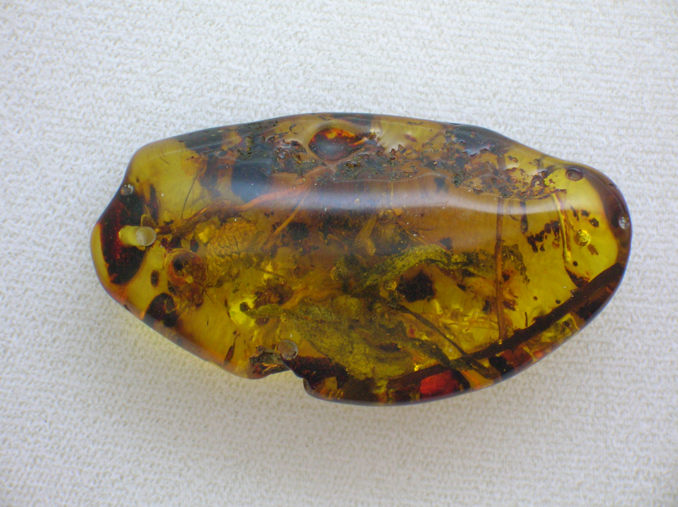 Baltic Amber Verdigree and Bugs Pendant