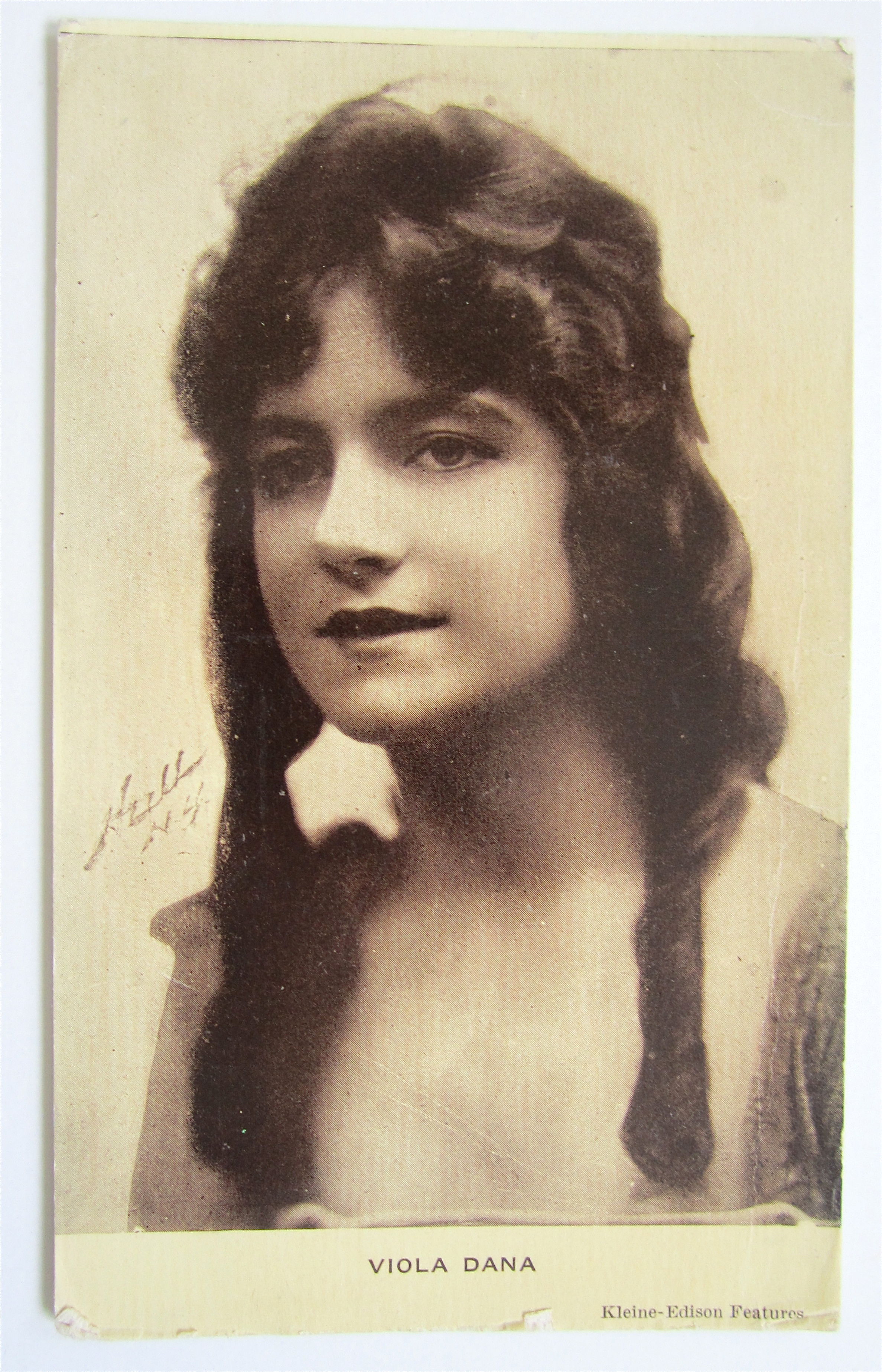 Viola Dana Postcard (American Film Actress)