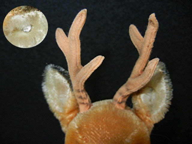 Steiff Vintage Buck Deer, 12 inches with tags
