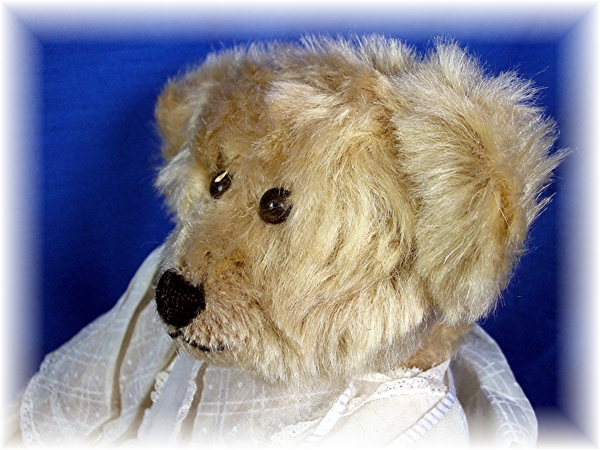 Bear-y Patch Bear - Polly - by Martha DeRaimo