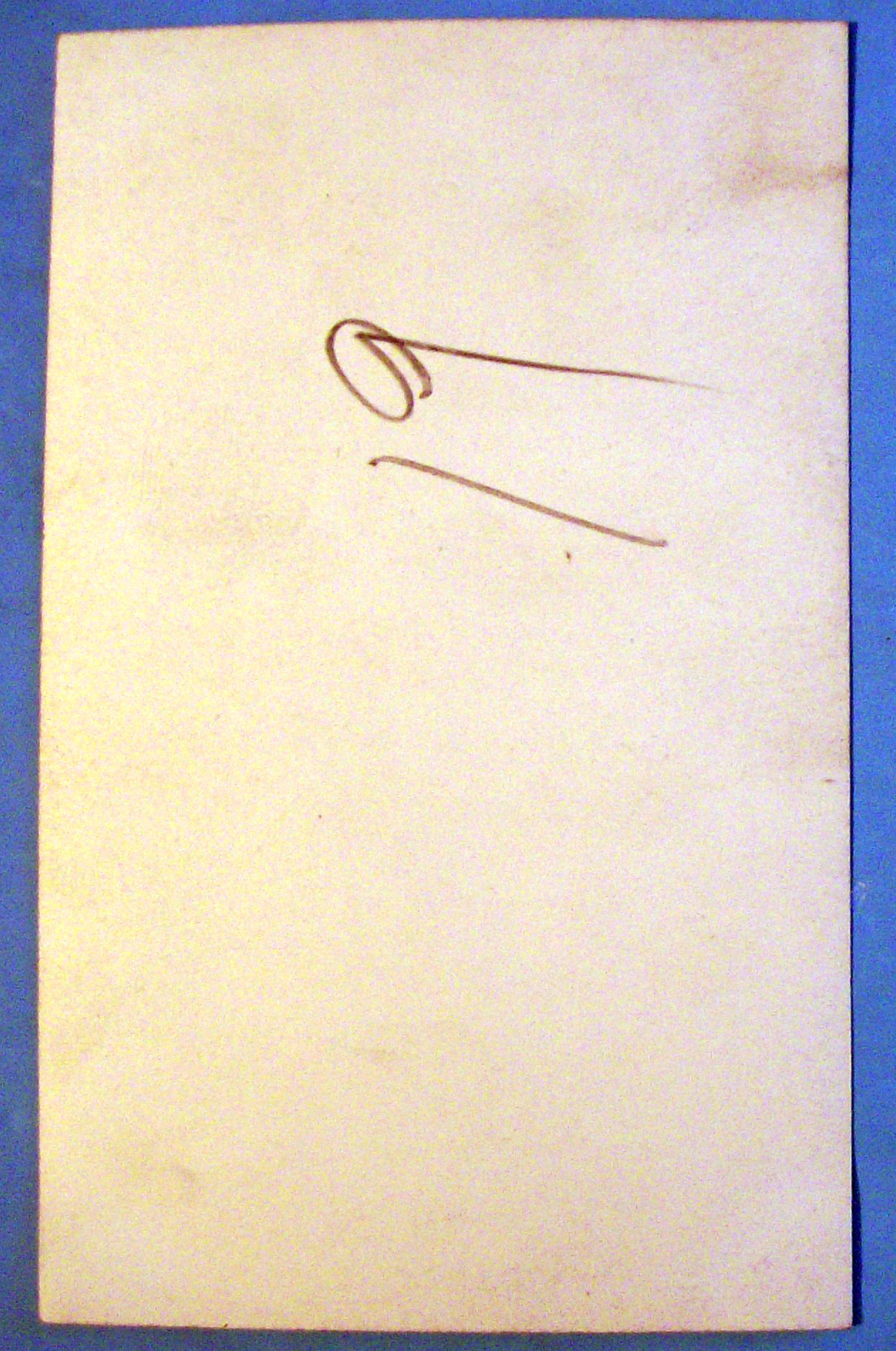 1933 Century of Progress, Dog Running Photograph