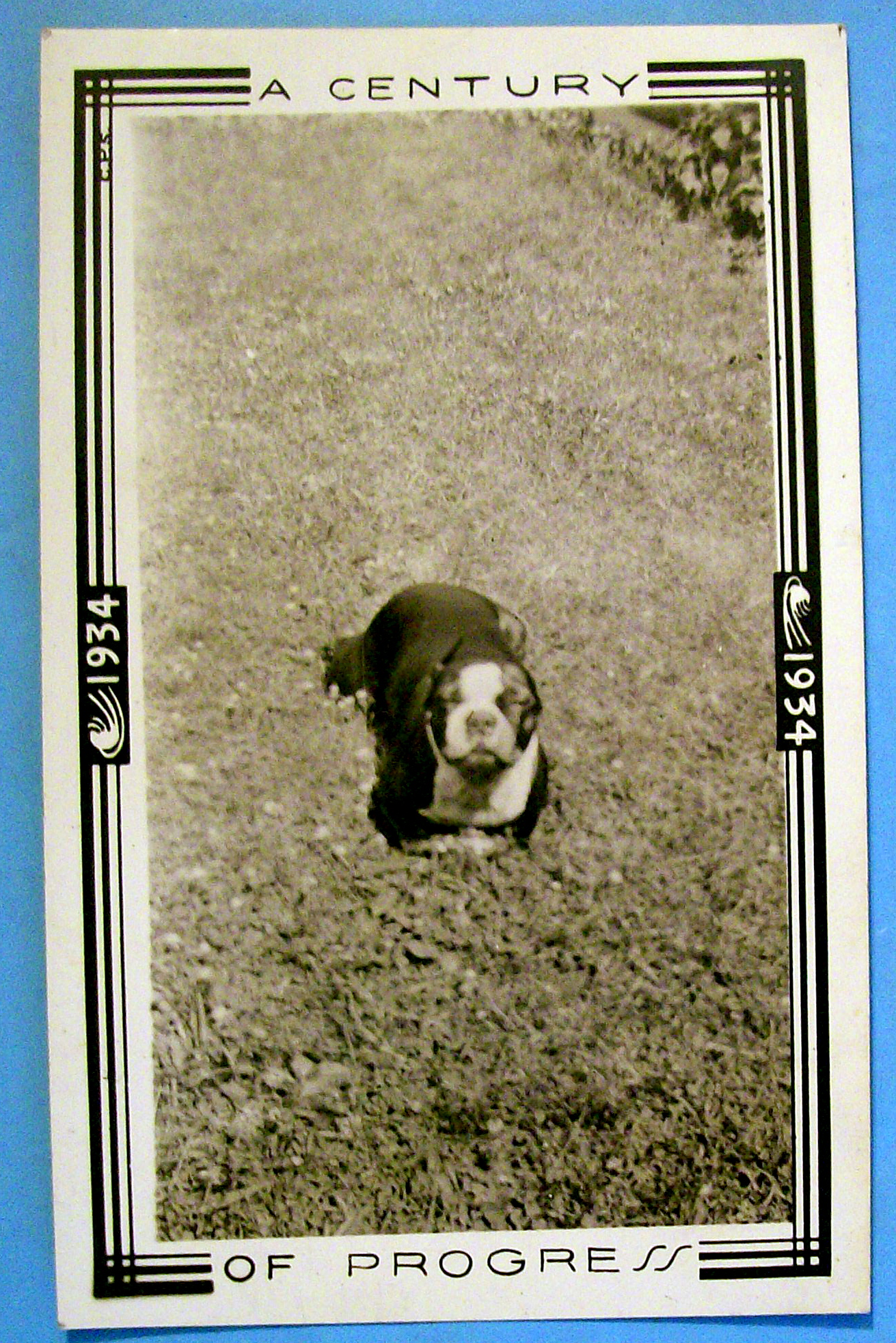 1933 Century of Progress, Dog Running Photograph