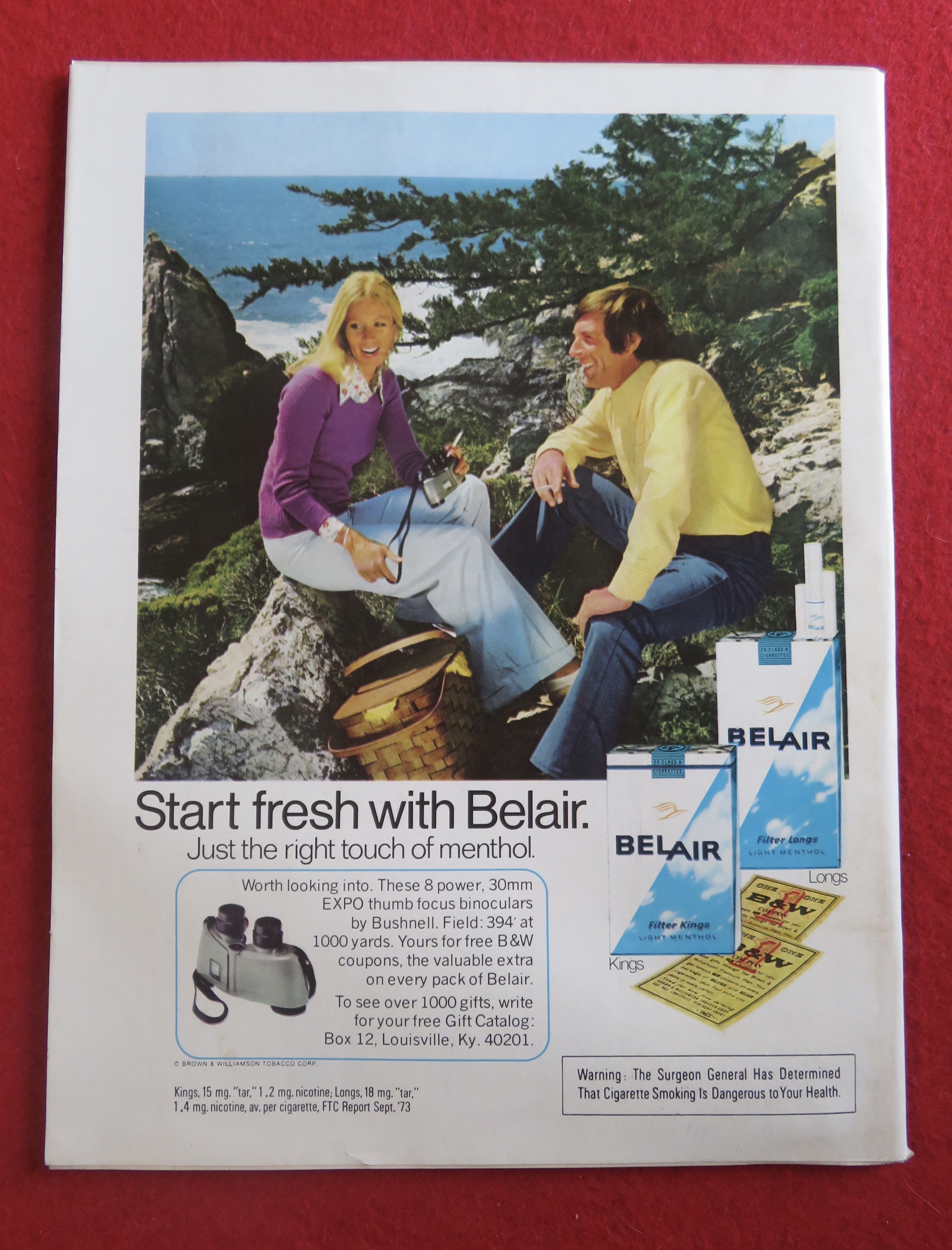 Newsweek Magazine December 24, 1973 The Arts In America