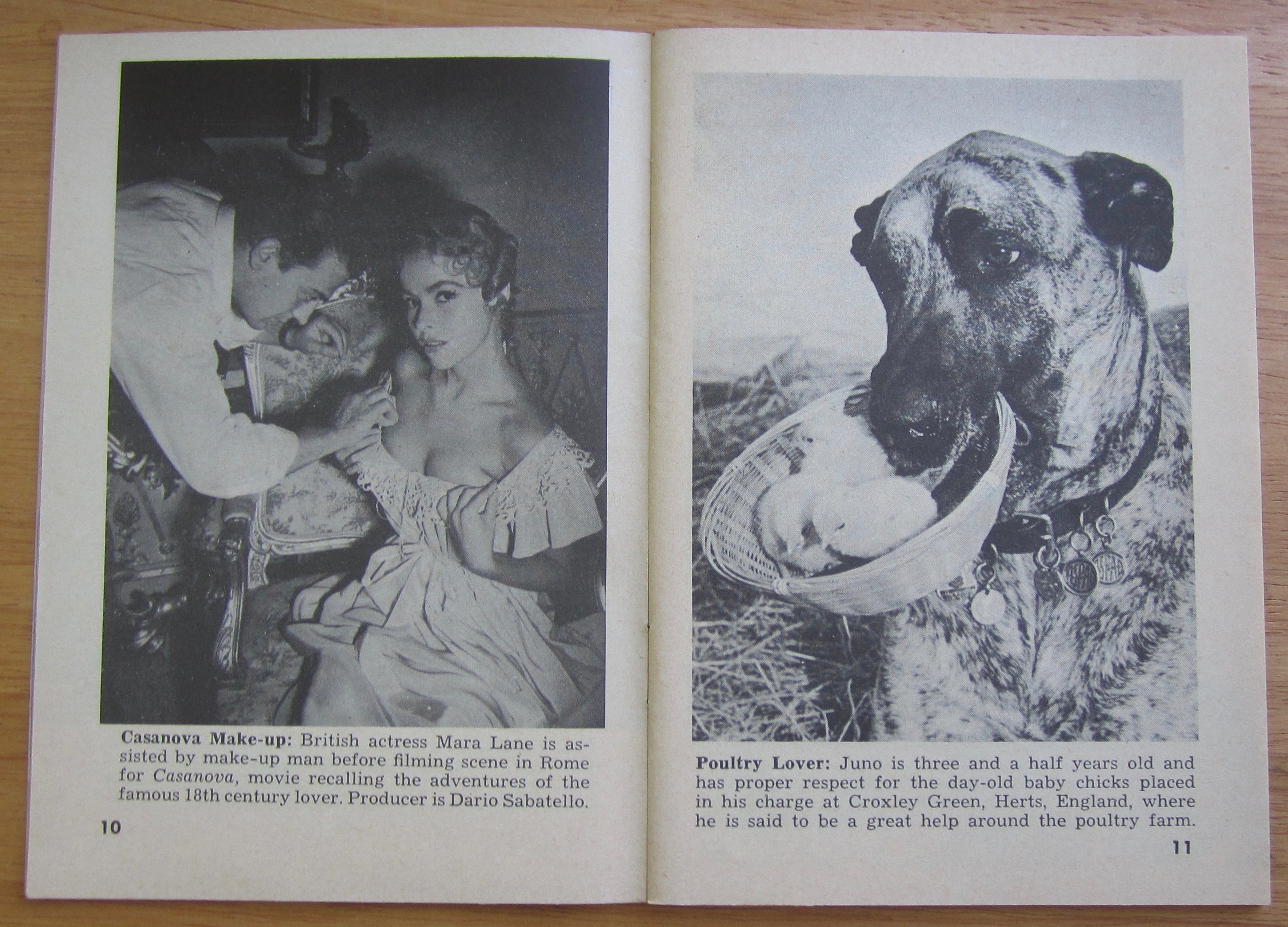 Tempo Magazine October 25, 1954 Allison Hayes