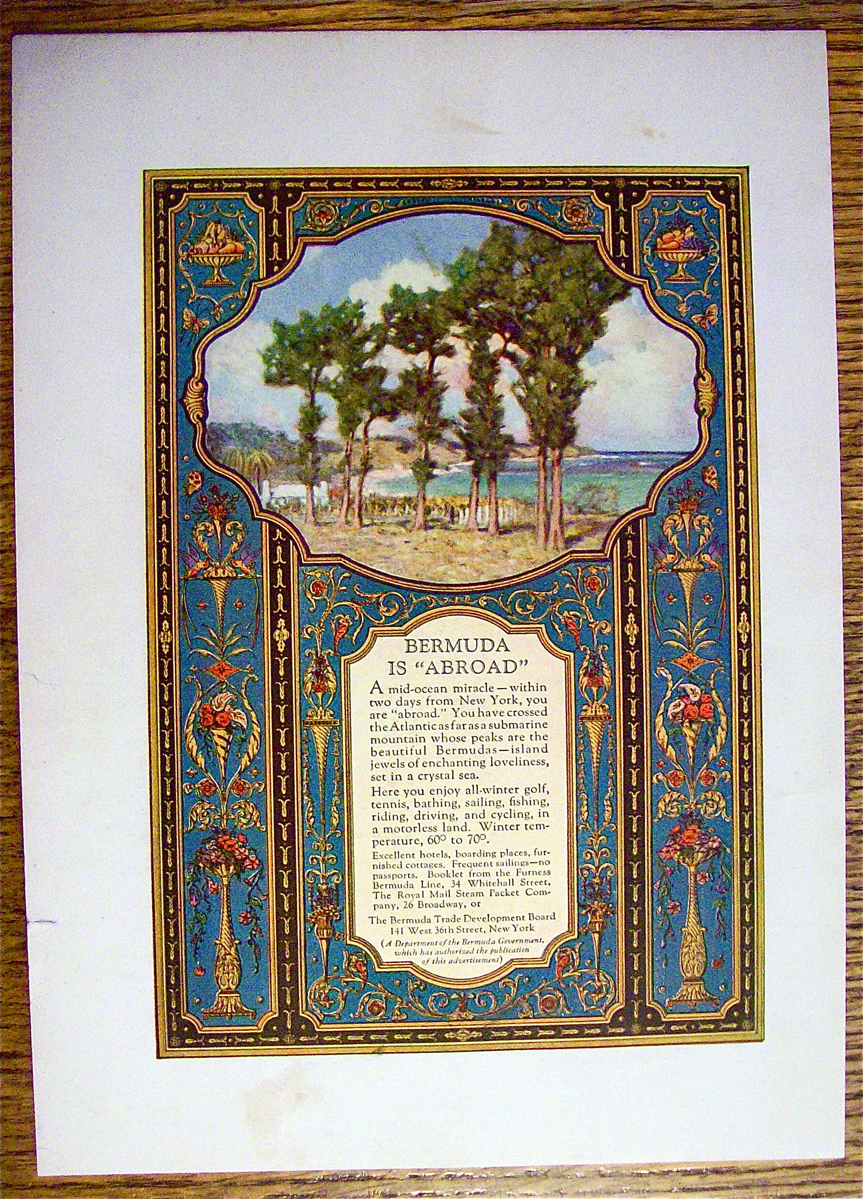 1924 Bermuda Trade Board with Lovely Tree Scene
