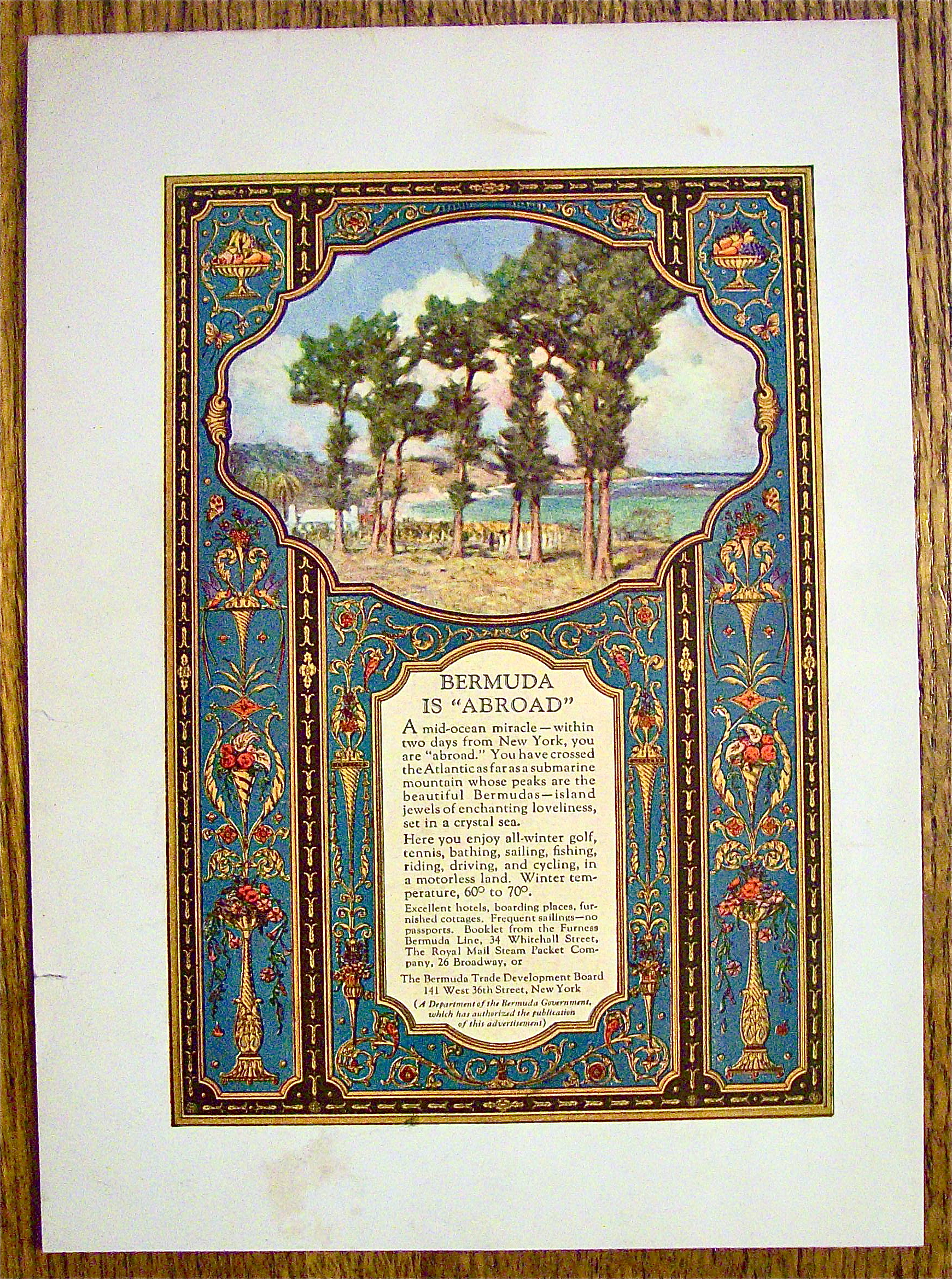 1924 Bermuda Trade Board with Lovely Tree Scene