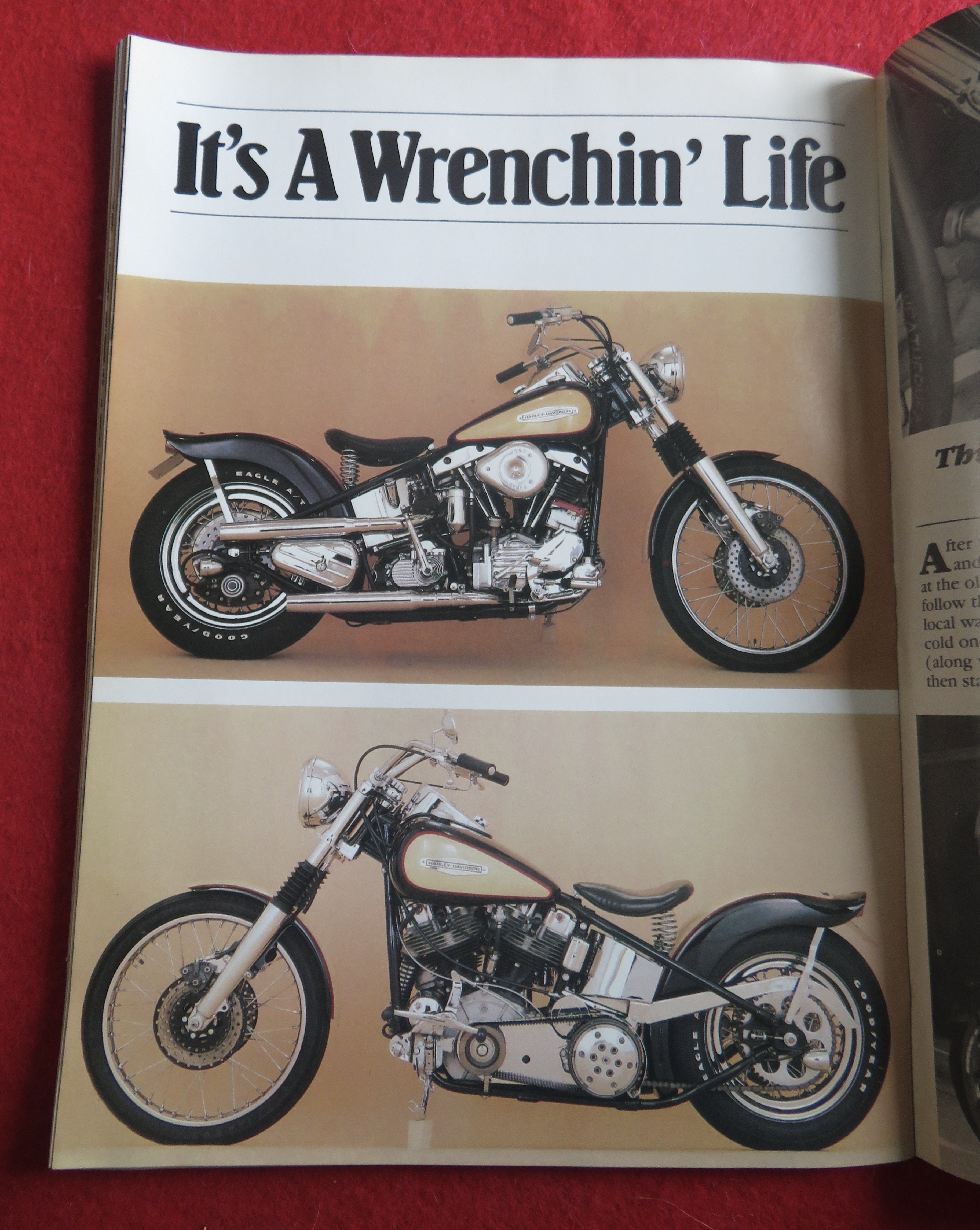 Easyriders Magazine September 1984 Biker Widow Speaks
