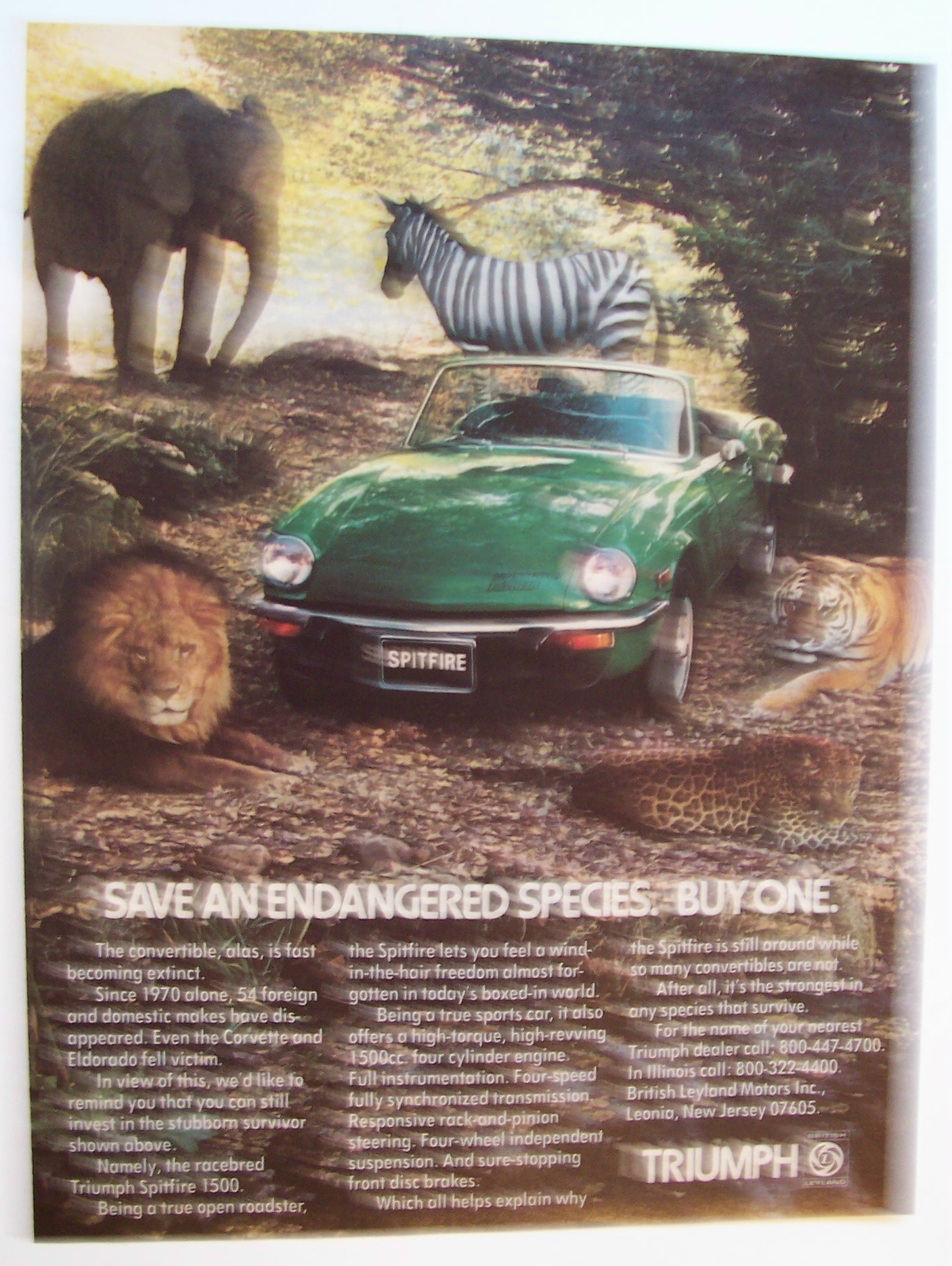 1977  Triumph  Spitfire  1500