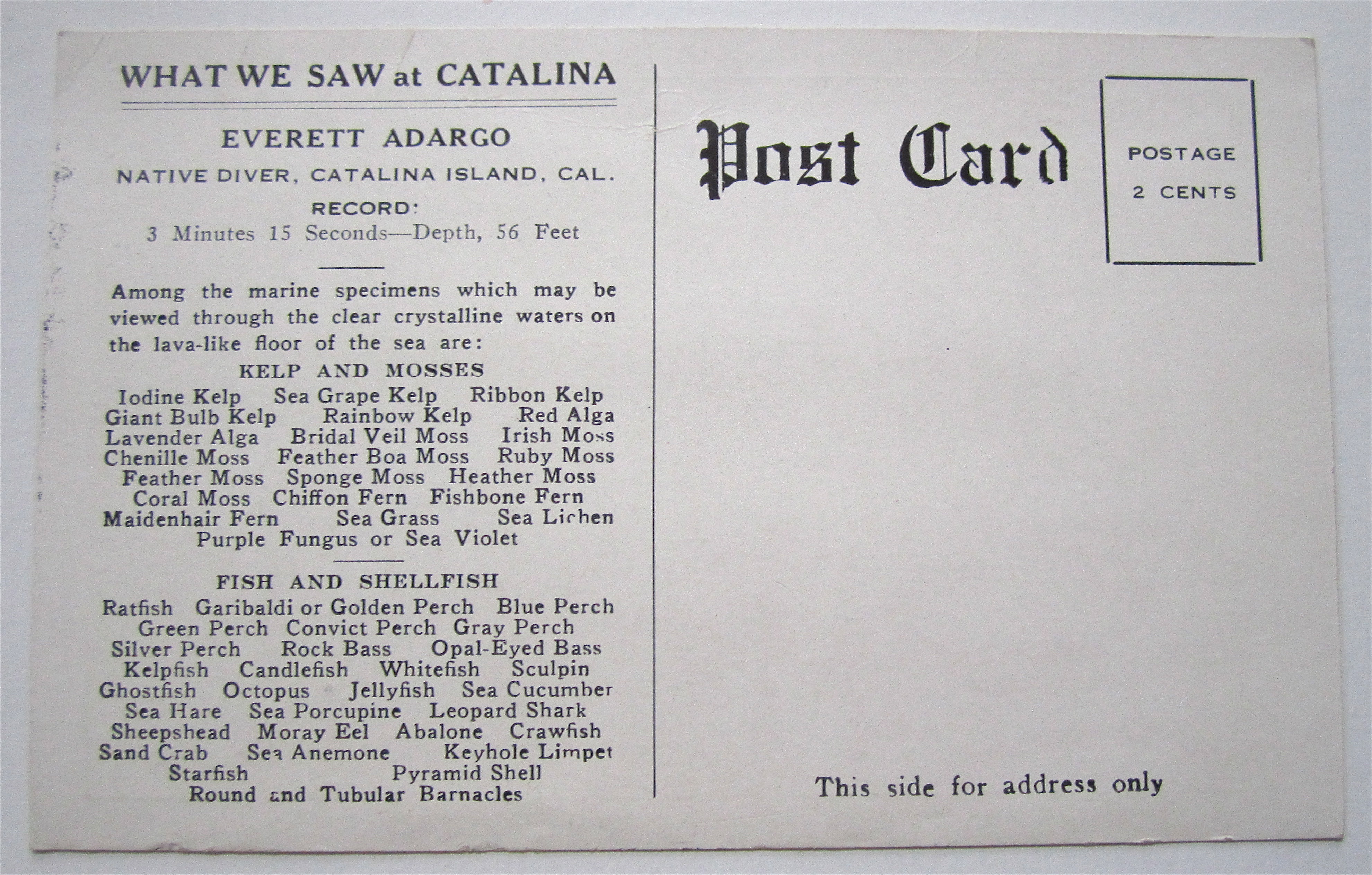 Everett Adargo (Native Diver) Postcard