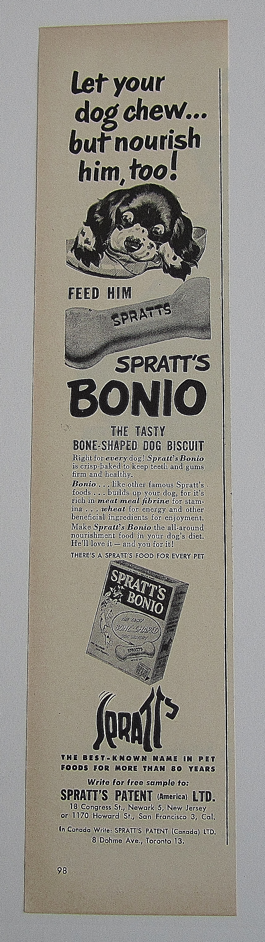1950 Spratt's Bonio With Puppy Chewing Shoe