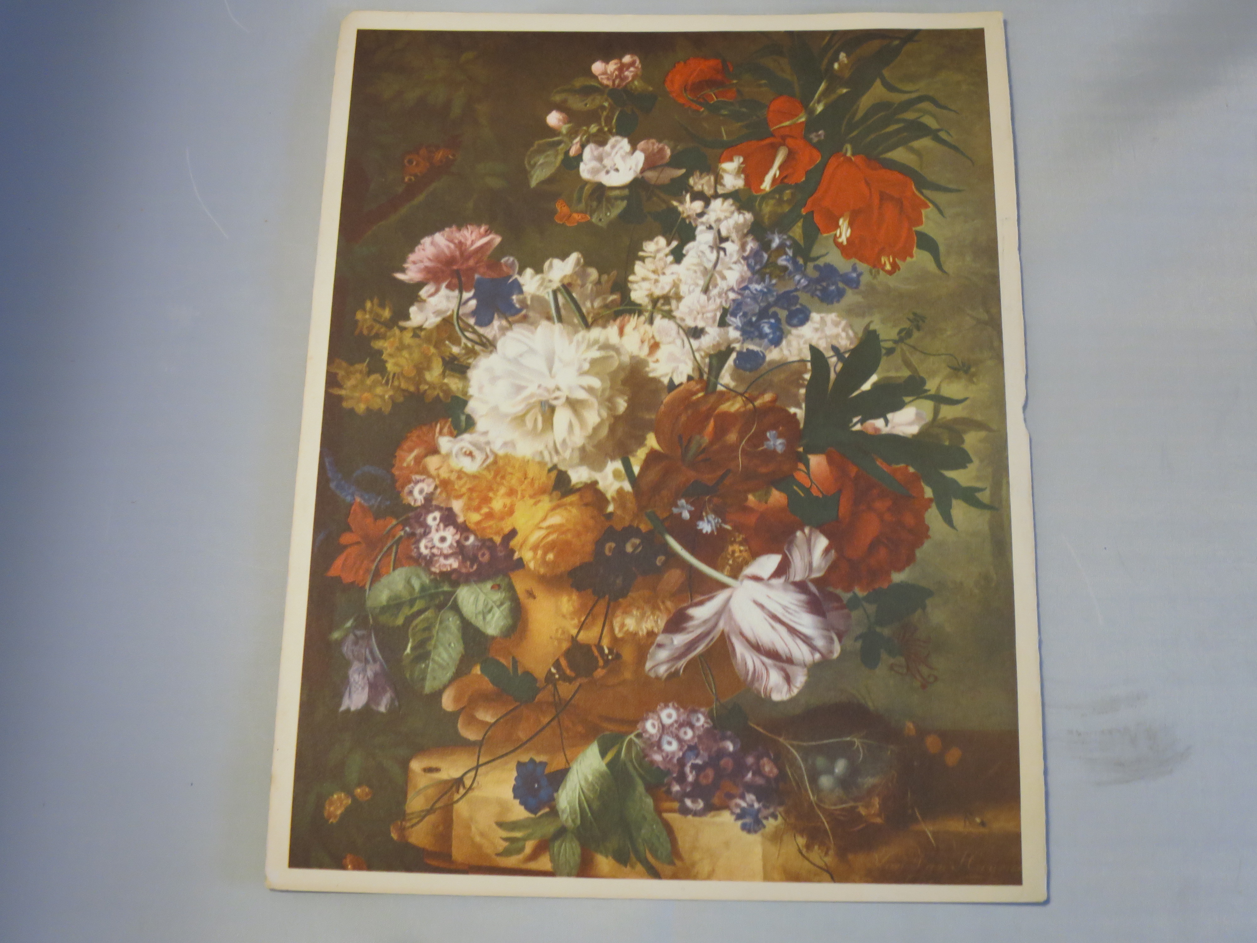 Flowers Jan Van Huysum Dutch 1682 Print 11 X 8 1/2 inch