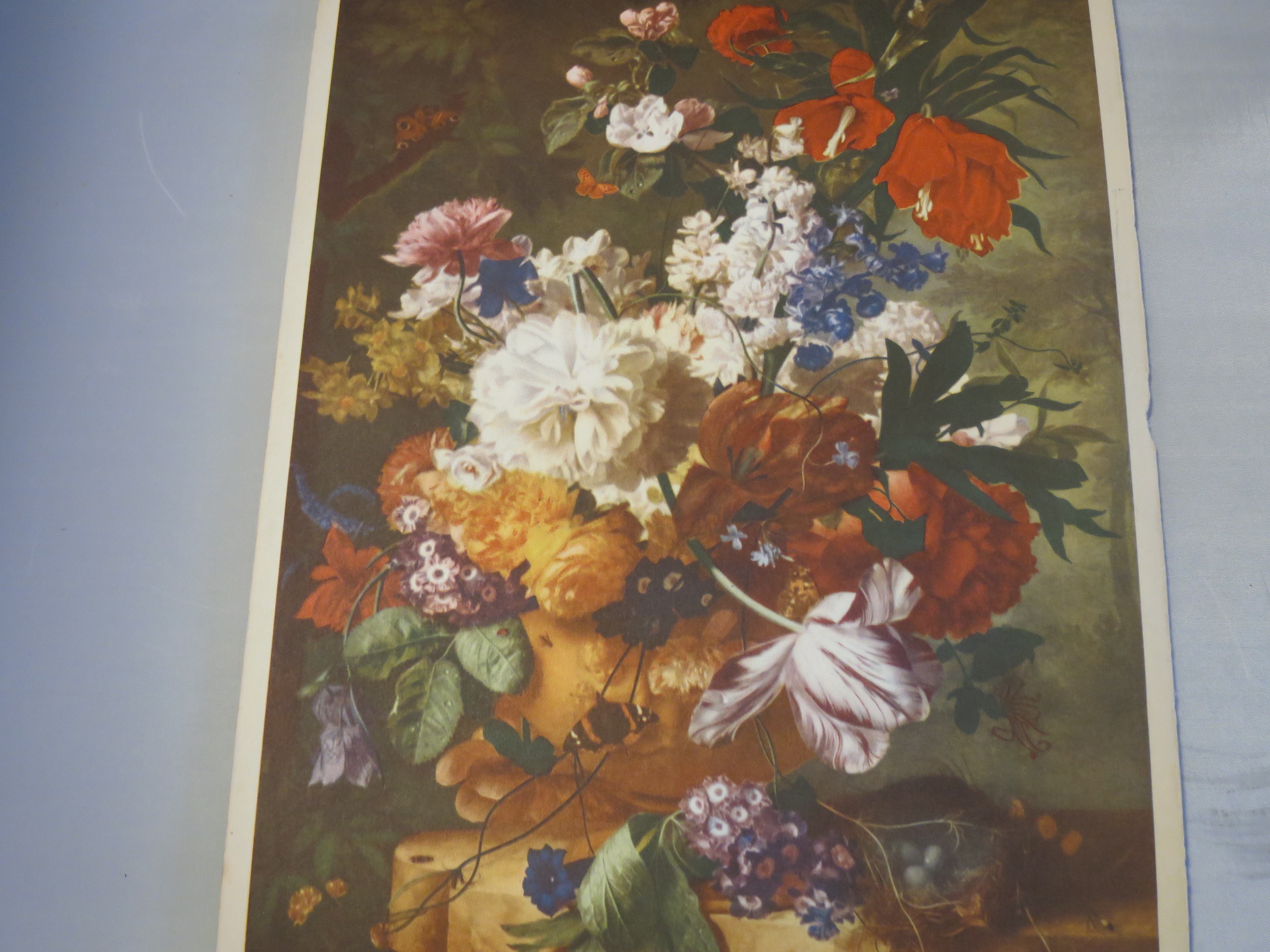 Flowers Jan Van Huysum Dutch 1682 Print 11 X 8 1/2 inch