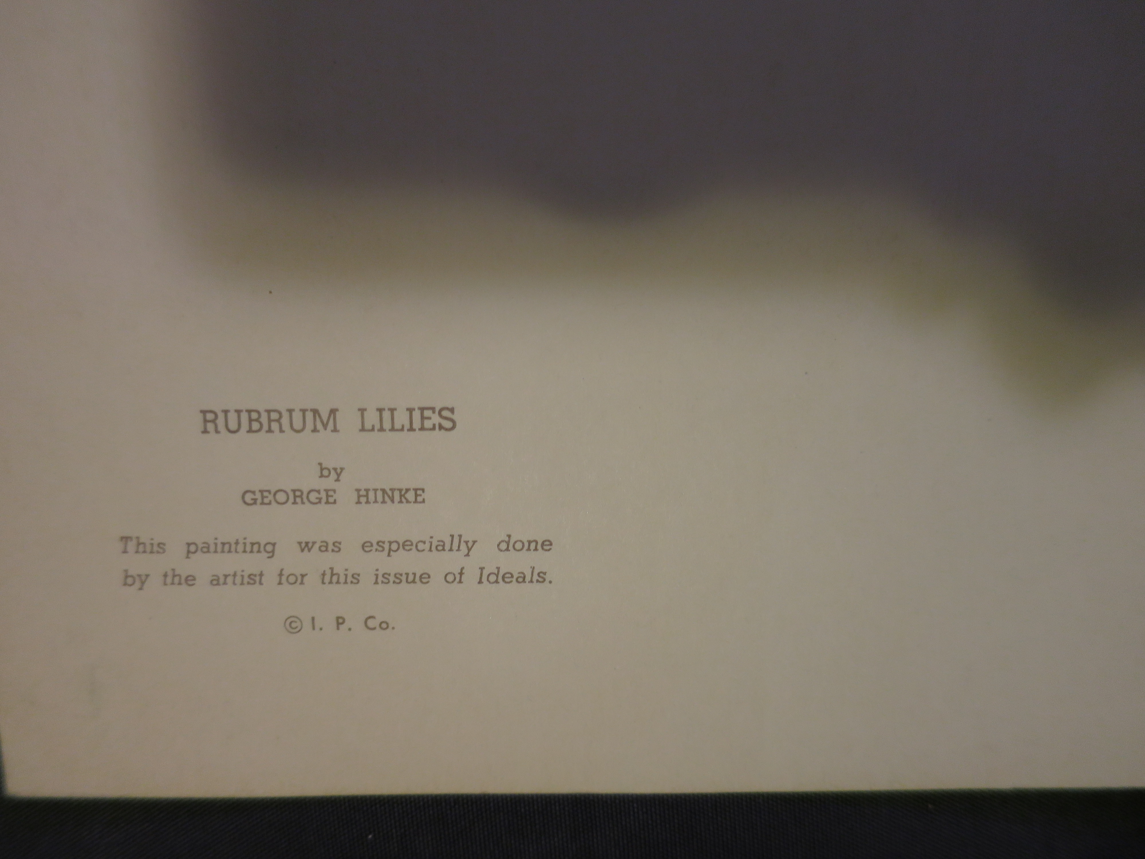 Rubrum Lilies by George Hinke Ideal Book Print