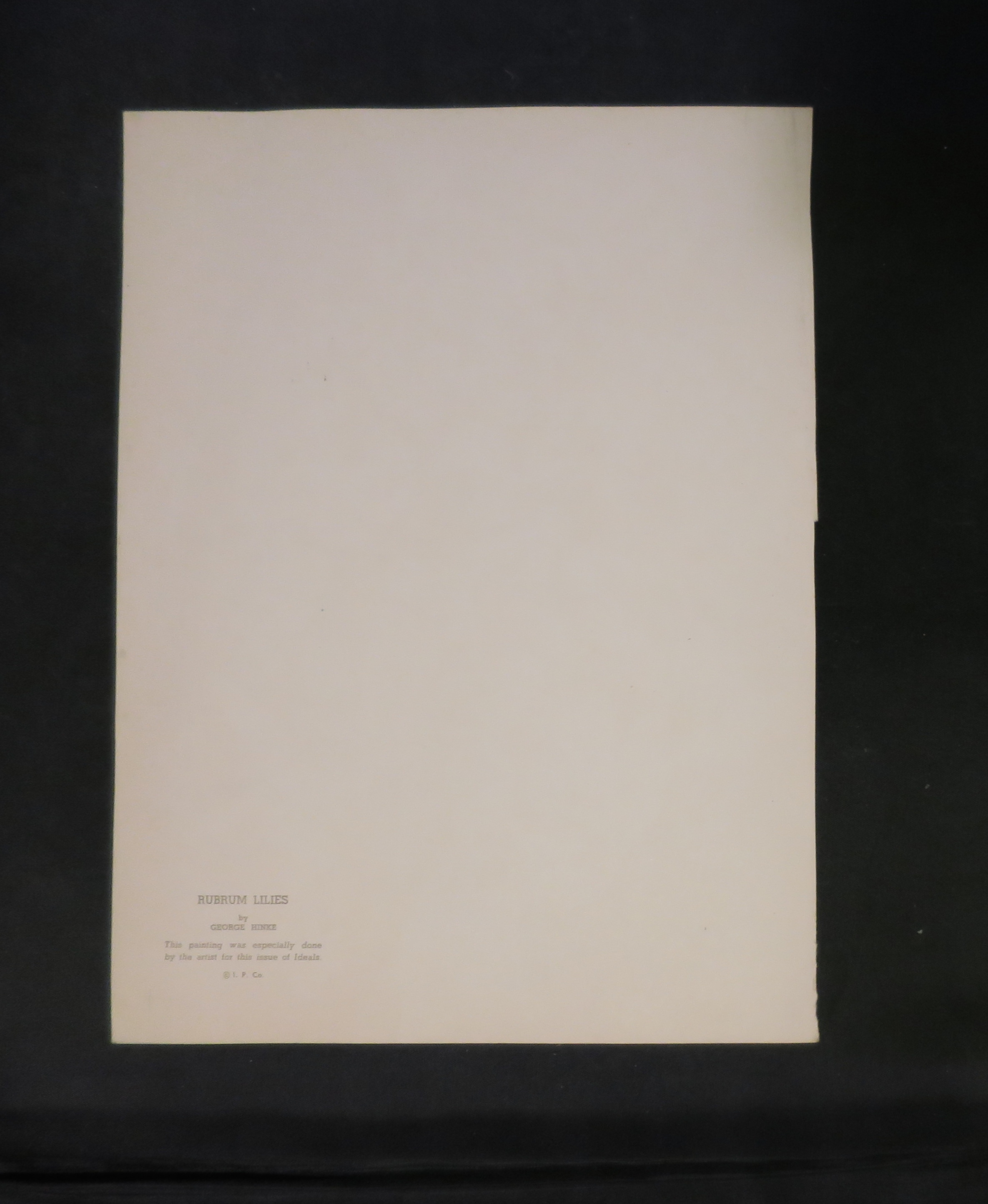 Rubrum Lilies by George Hinke Ideal Book Print