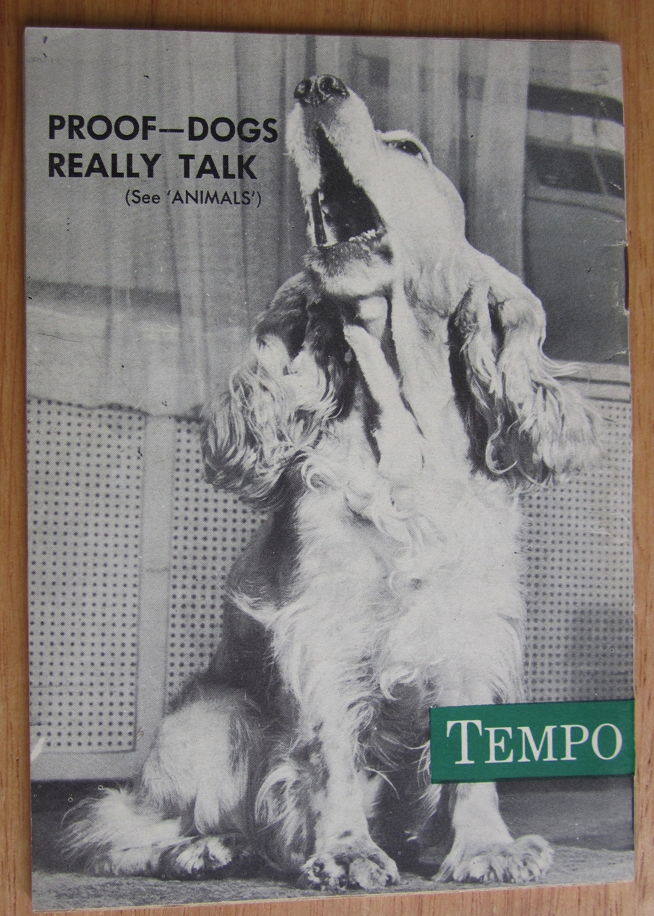 Tempo Magazine September 28, 1953 Mamie Van Doren