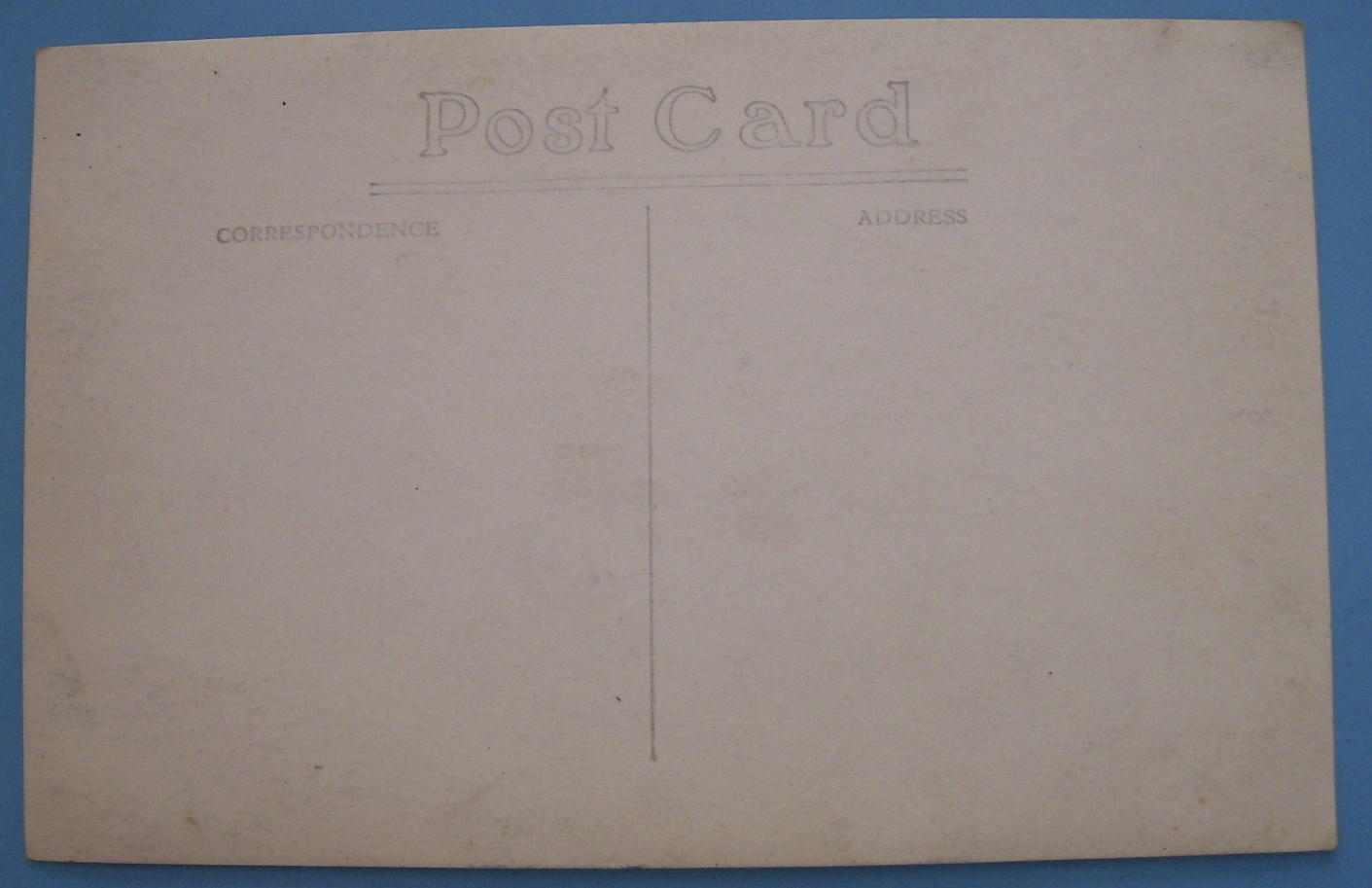 Riverview Park Saloon Picture Postcard-(Chicago)