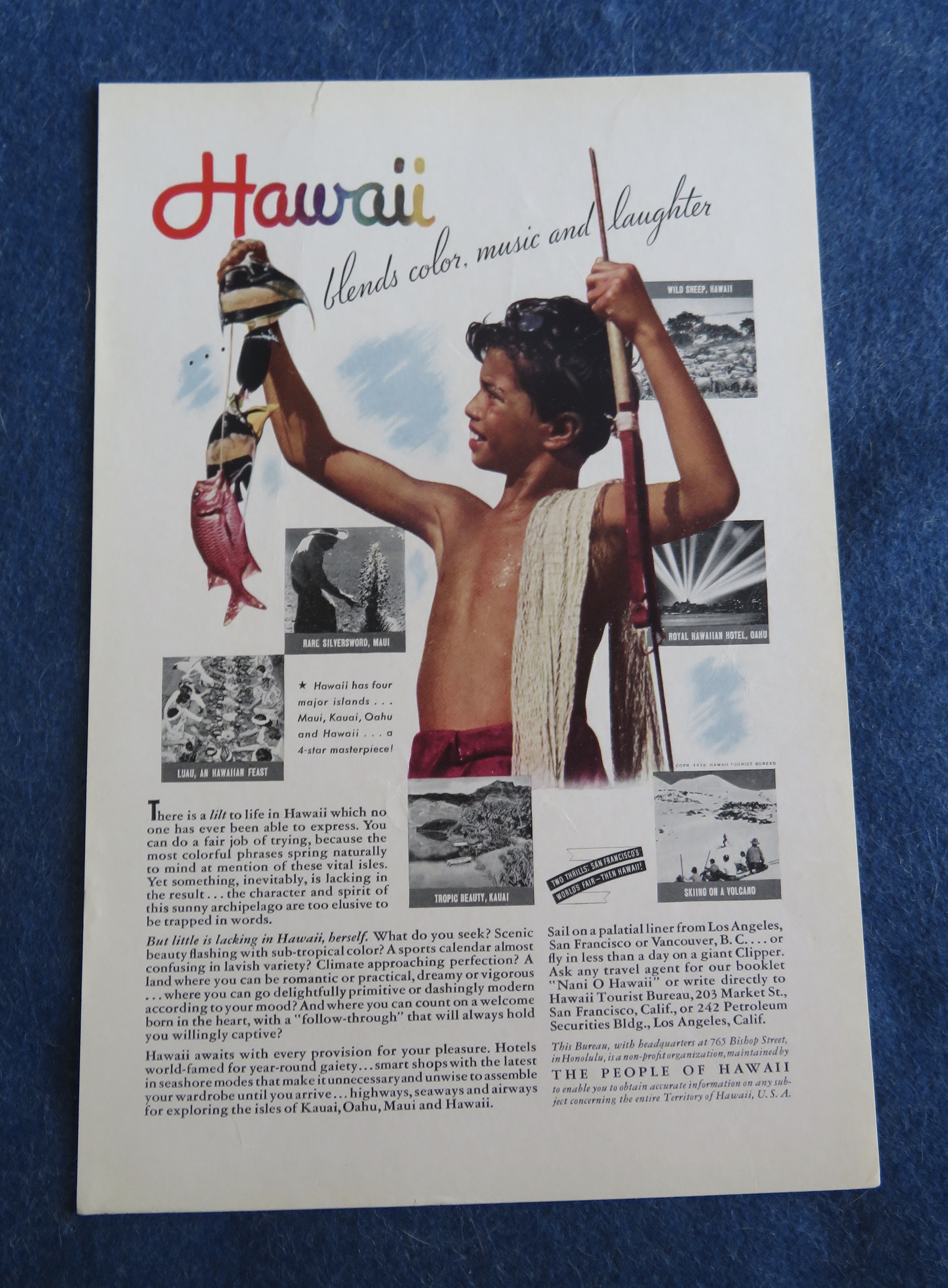 1938 People Of Hawaii with Little Boy Looking At Fish