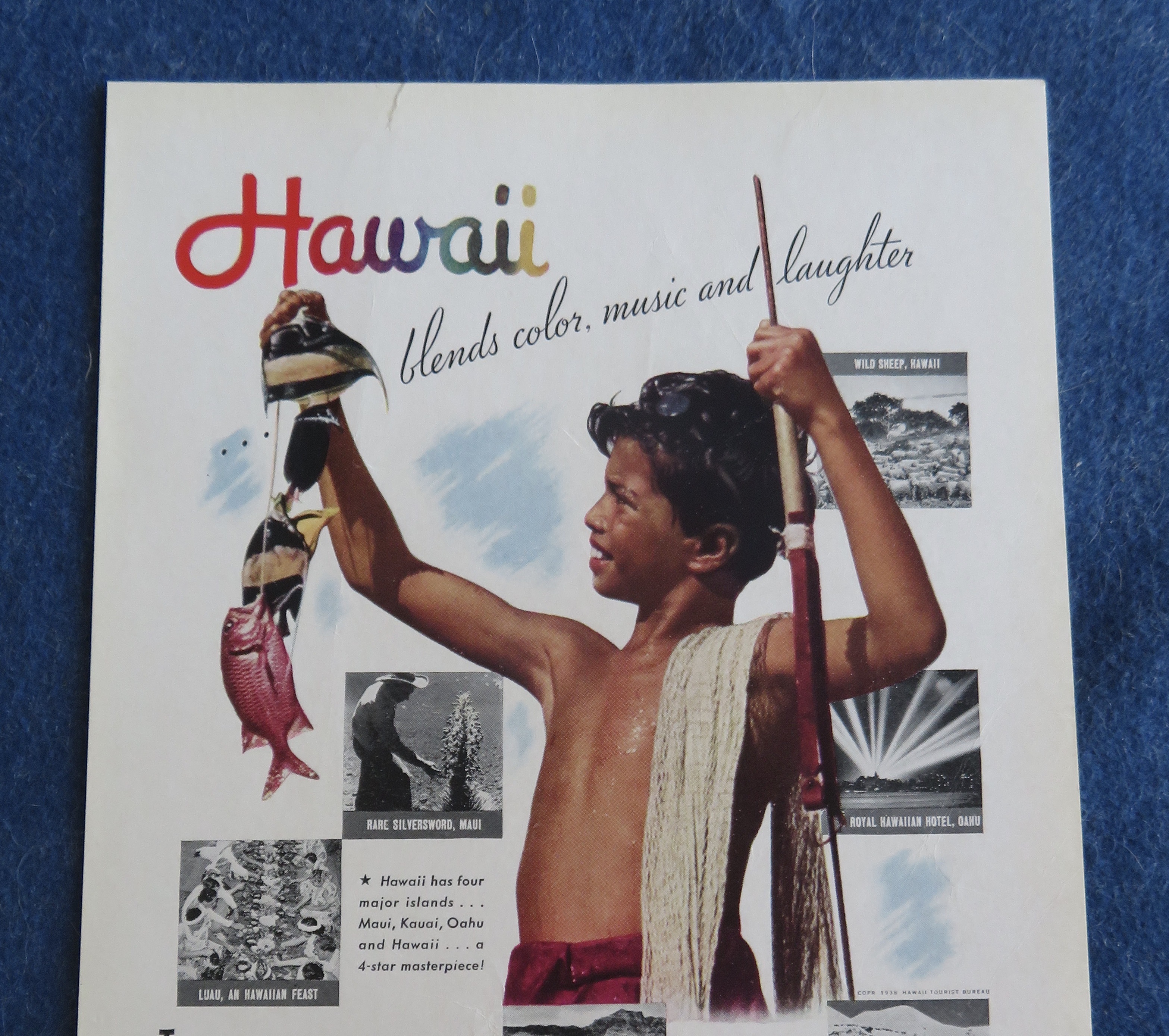 1938 People Of Hawaii with Little Boy Looking At Fish
