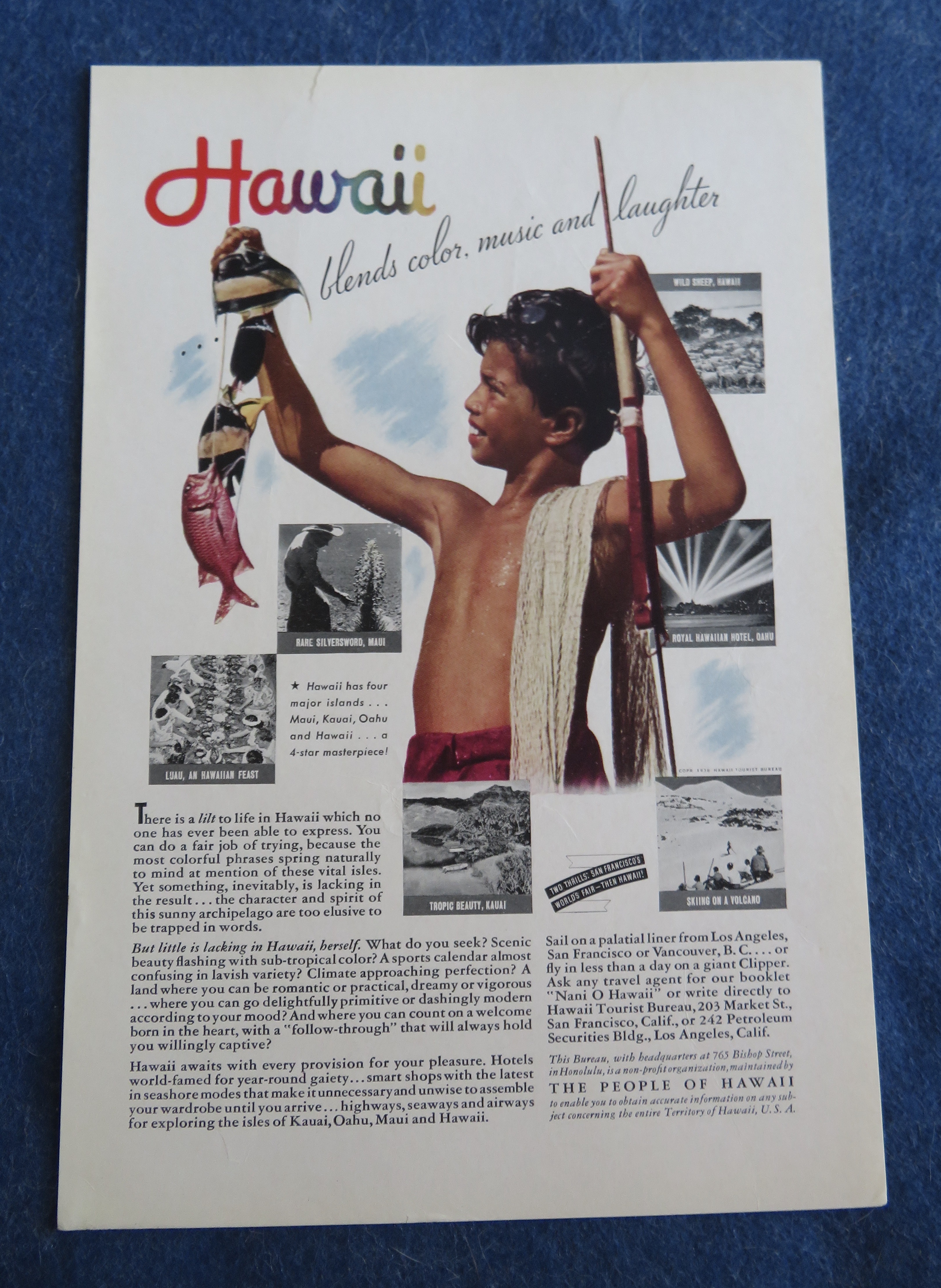 1938 People Of Hawaii with Little Boy Looking At Fish