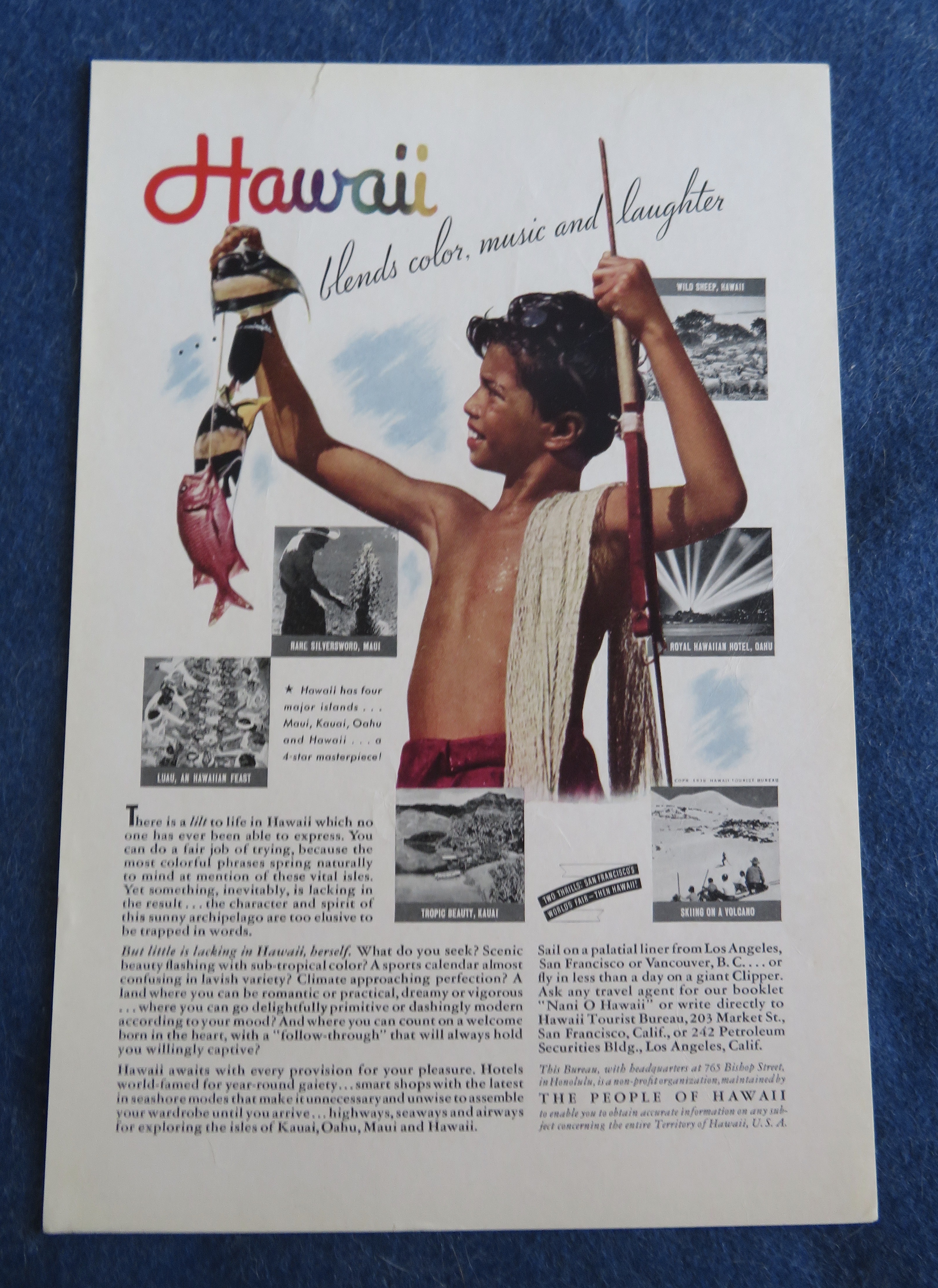 1938 People Of Hawaii with Little Boy Looking At Fish