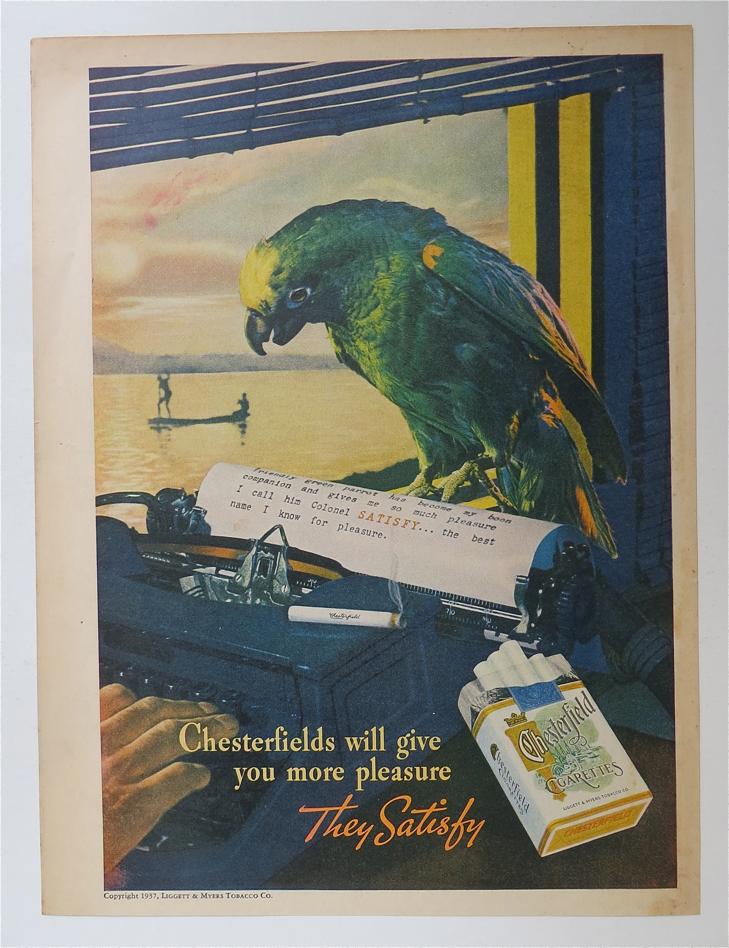 1937 Chesterfield Cigarettes with Lovely Parrot