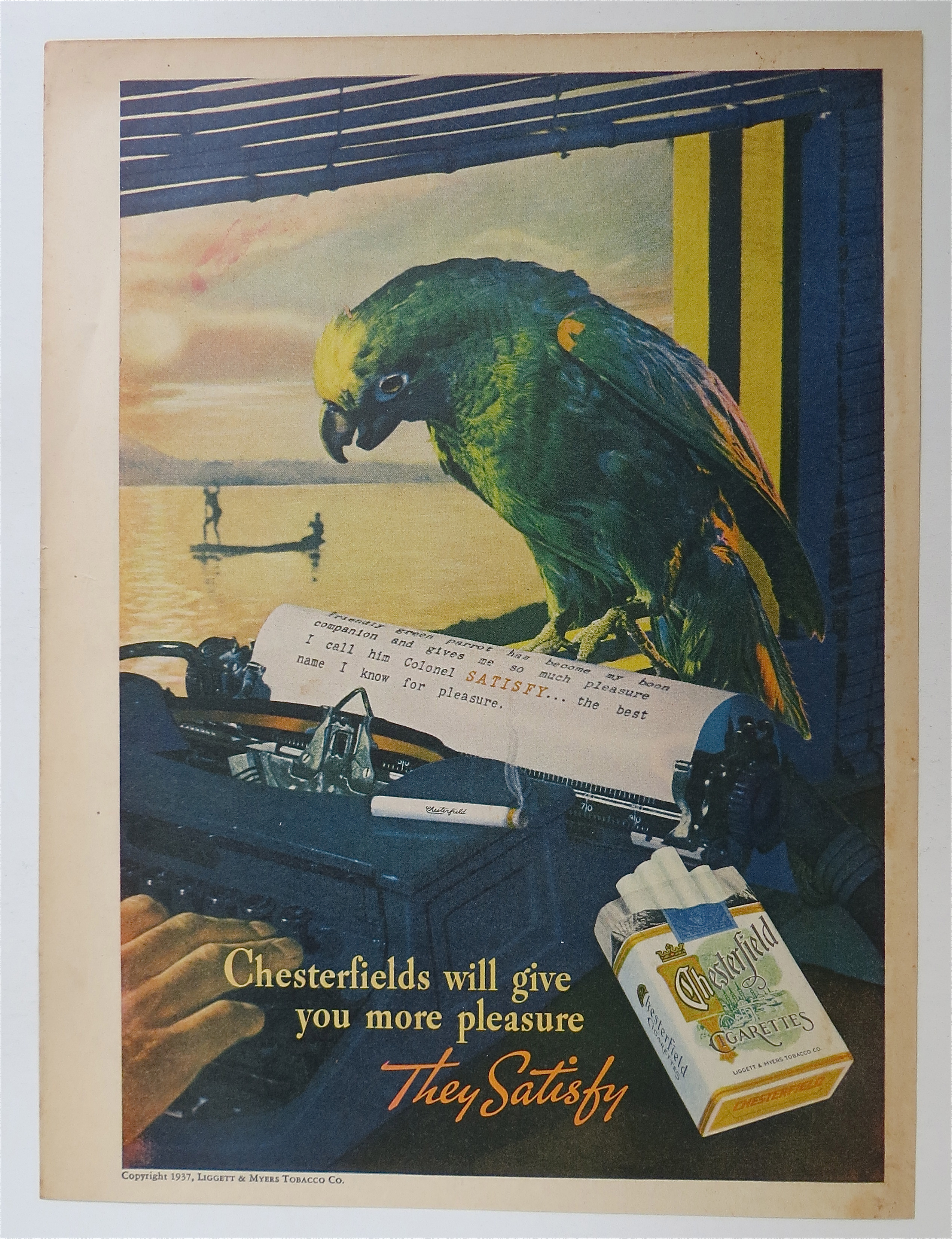 1937 Chesterfield Cigarettes with Lovely Parrot